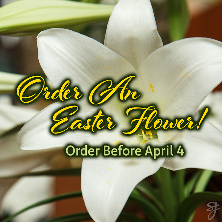 EasterFlowerSale2026.png