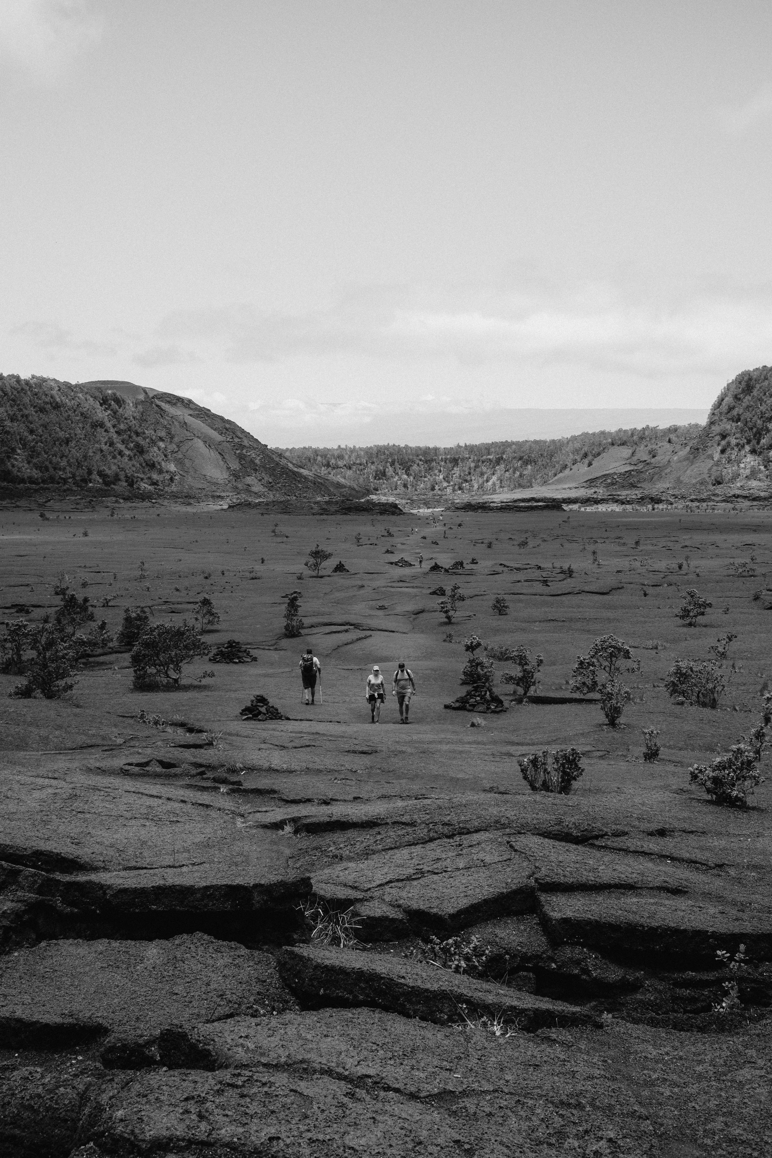 DSCF0547-2.jpg
