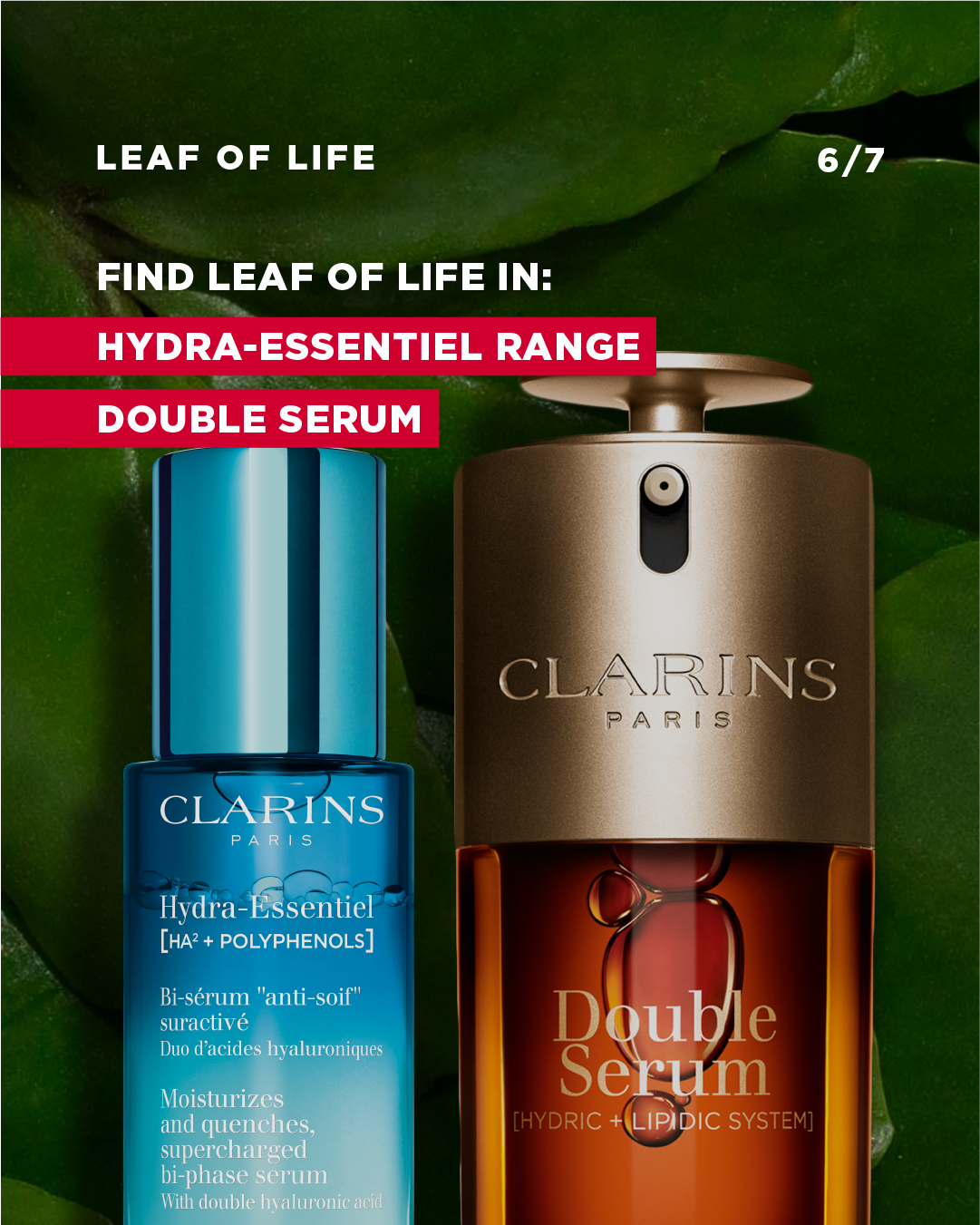 Clarins_LeafofLife_-06.png