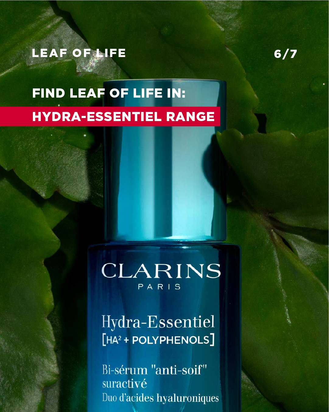 Clarins_LeafofLife_-07.png