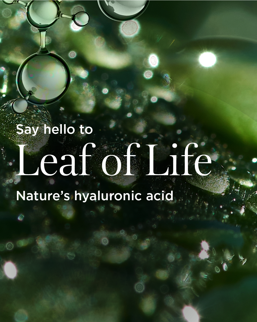 Clarins_LeafofLife_-01.png