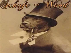 Friday Night Music Live - Schafewood