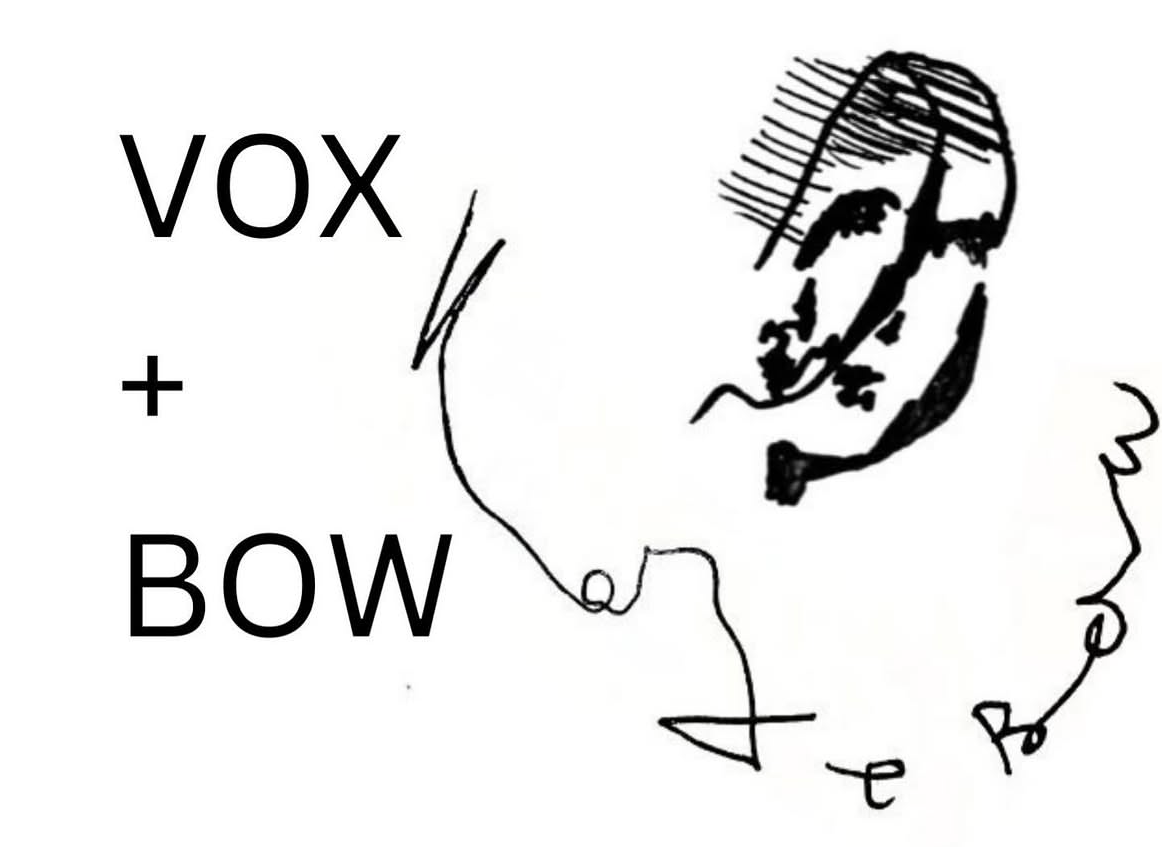 Composition Project with Vox and Bow