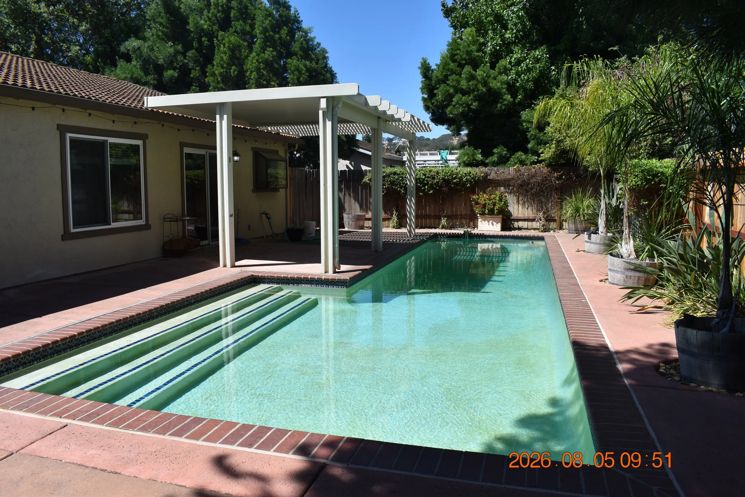 17. backyard 1.JPG