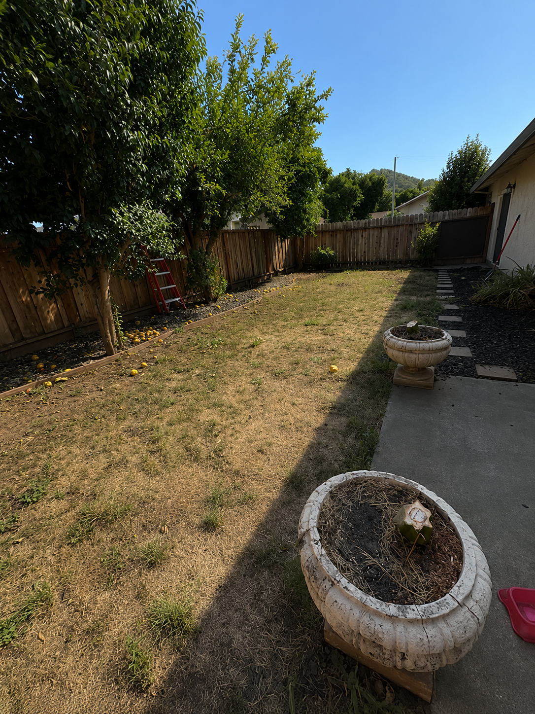 9. Backyard.png