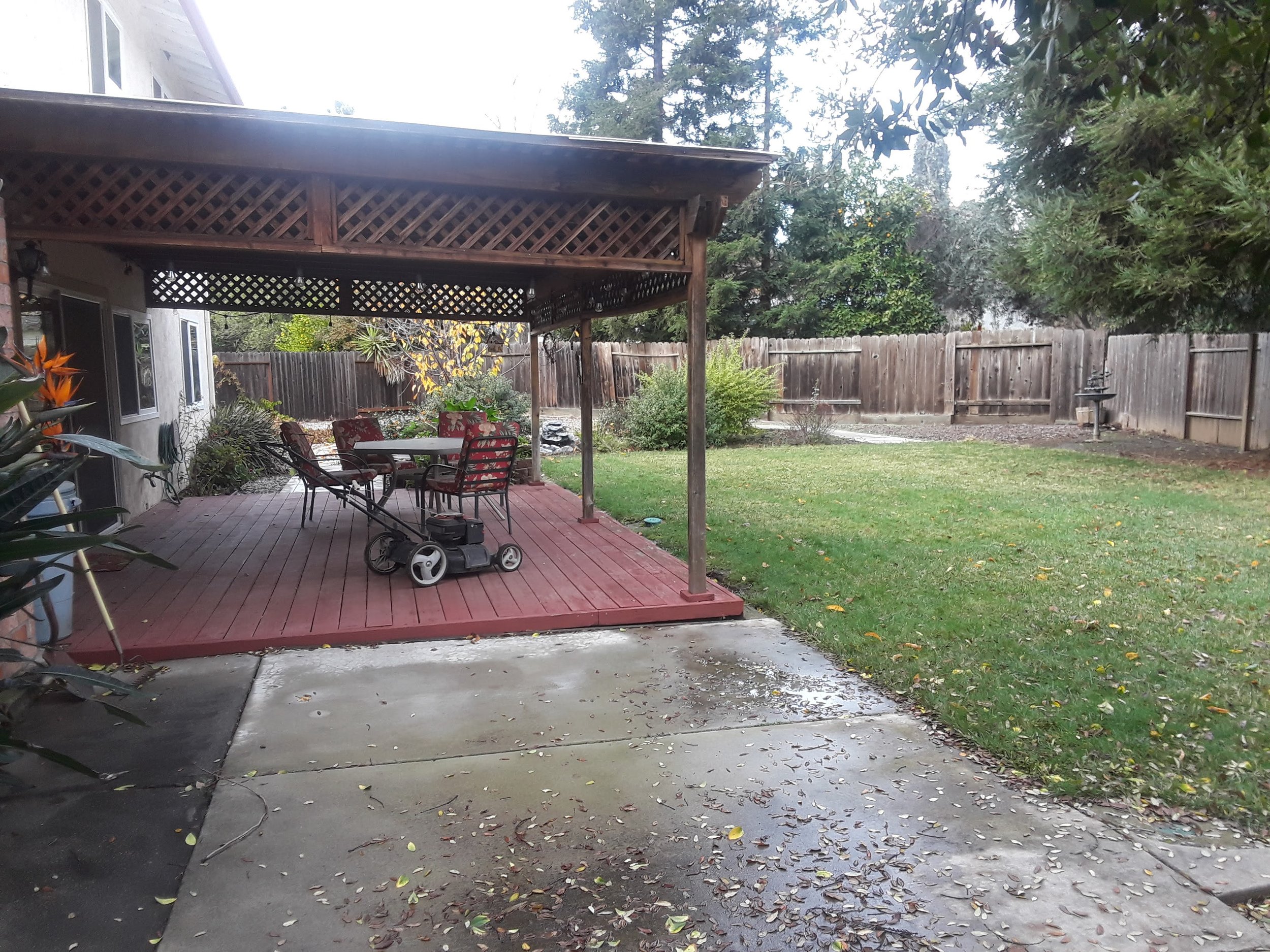 Pic30BackYard-1 copy.jpg