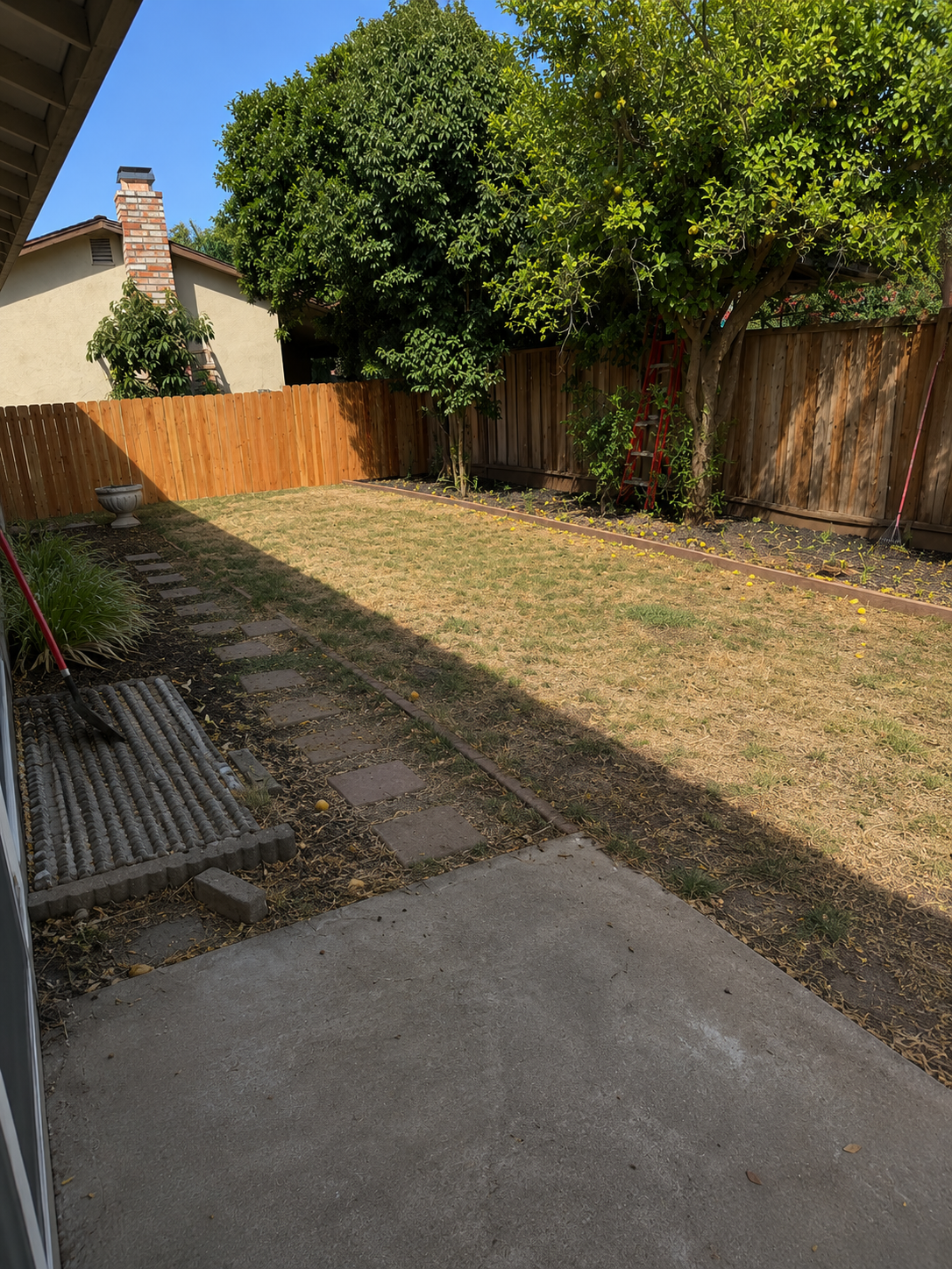 10. Backyard.png