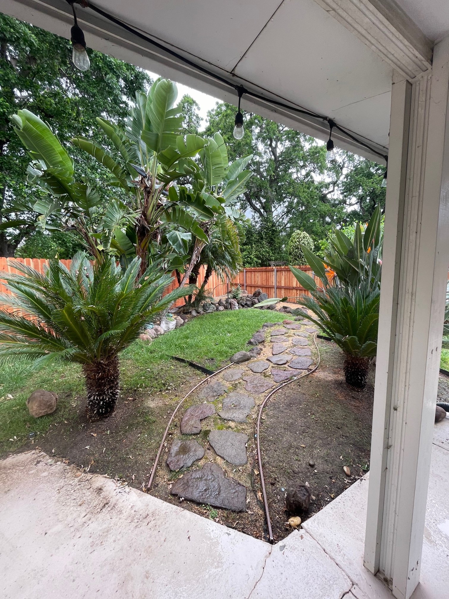 Rear Yard landscape.jpeg