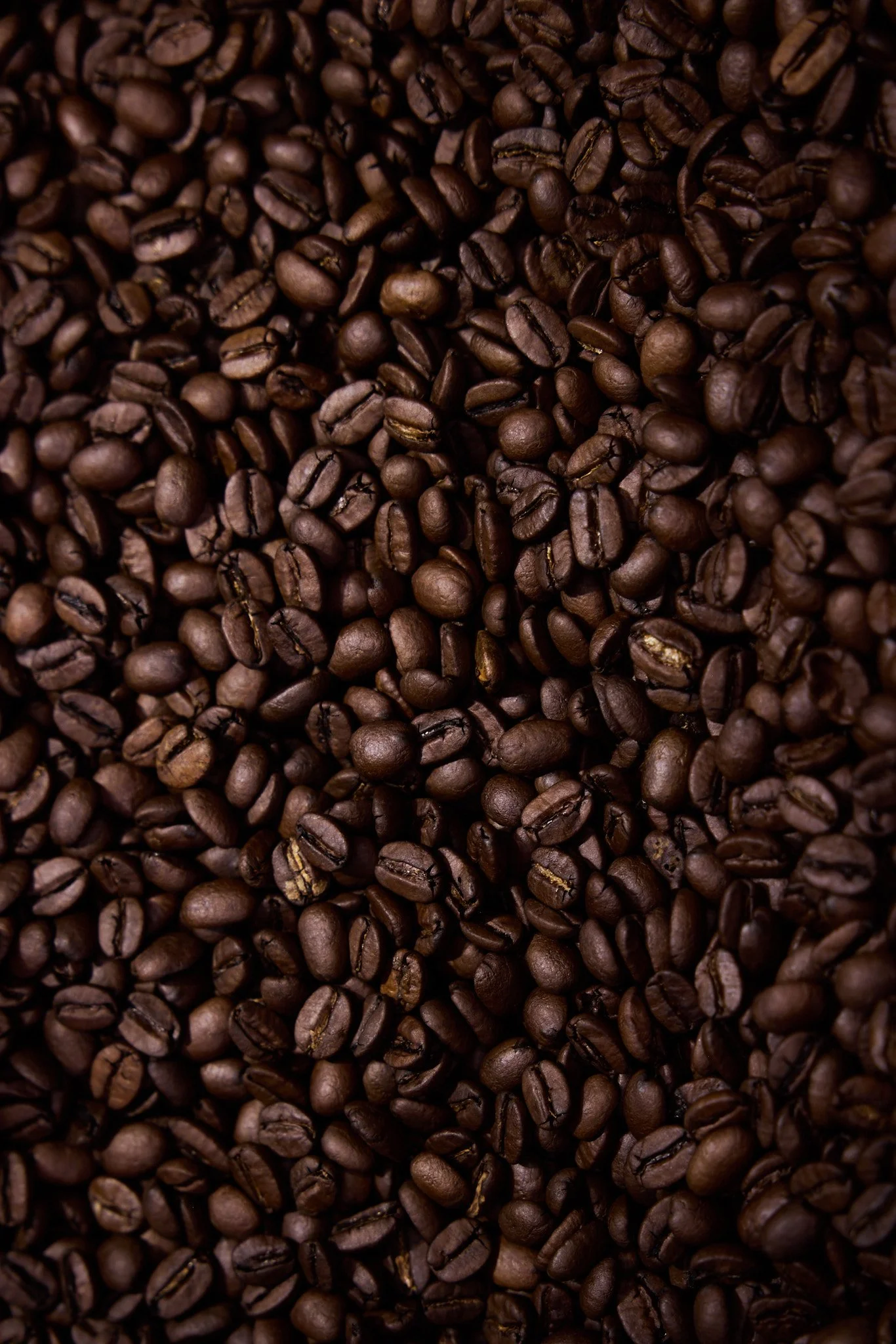 TheLastBean_sfeerbeeldenatelier_ 56.jpg