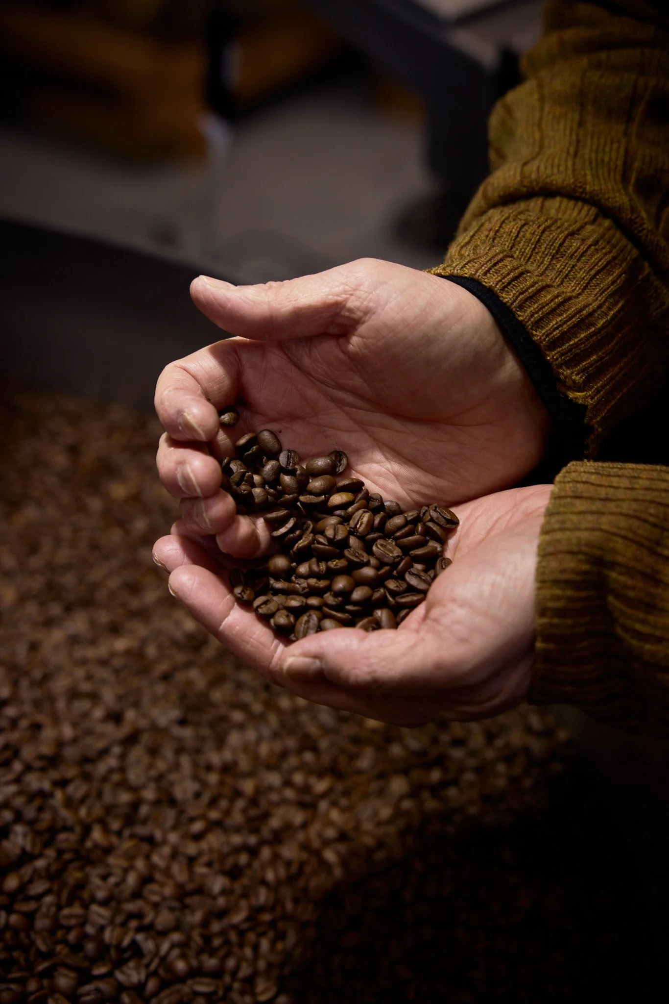 TheLastBean_sfeerbeeldenatelier_ 54.jpg