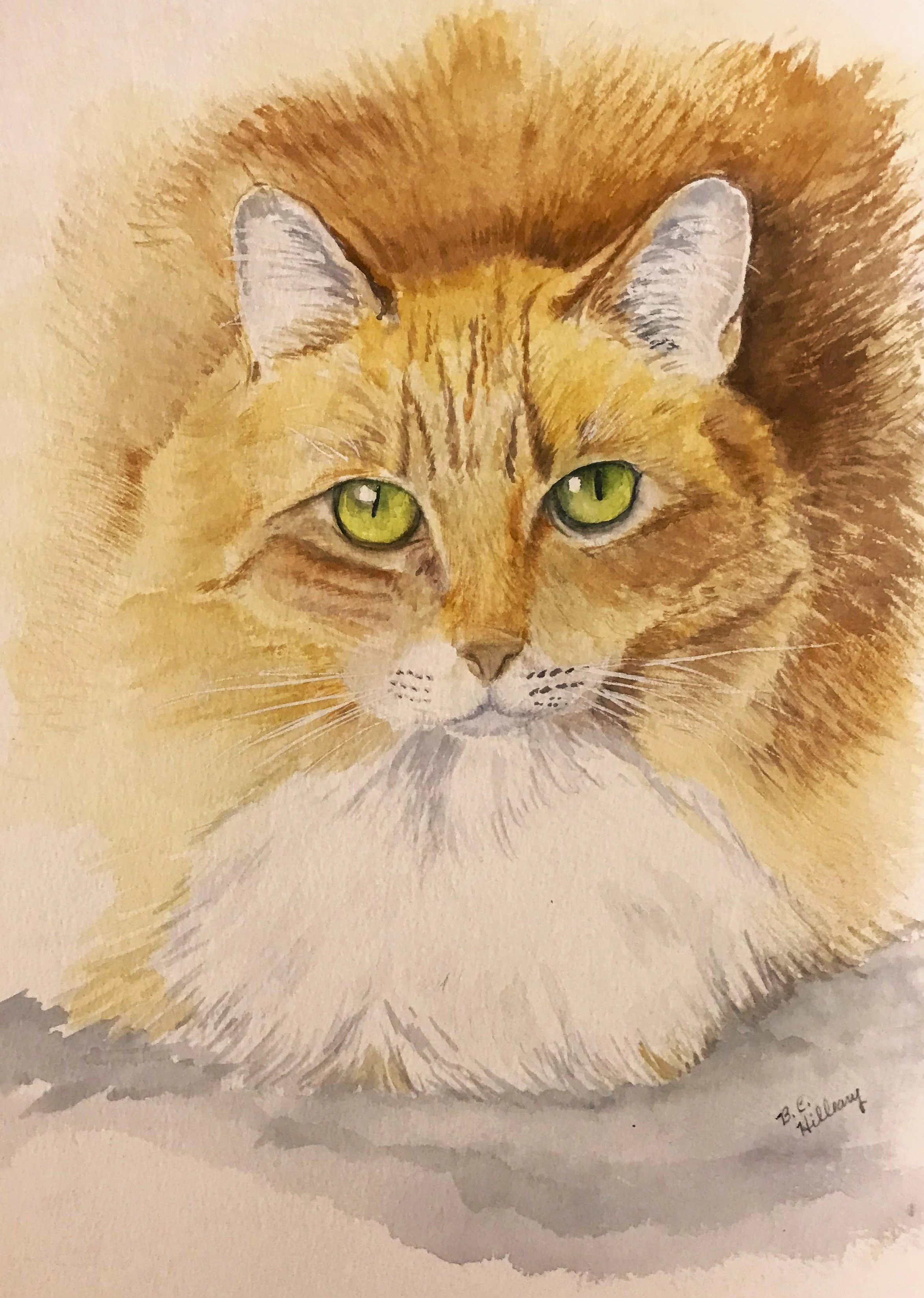 Hilleary_Maisys Eyes.JPEG