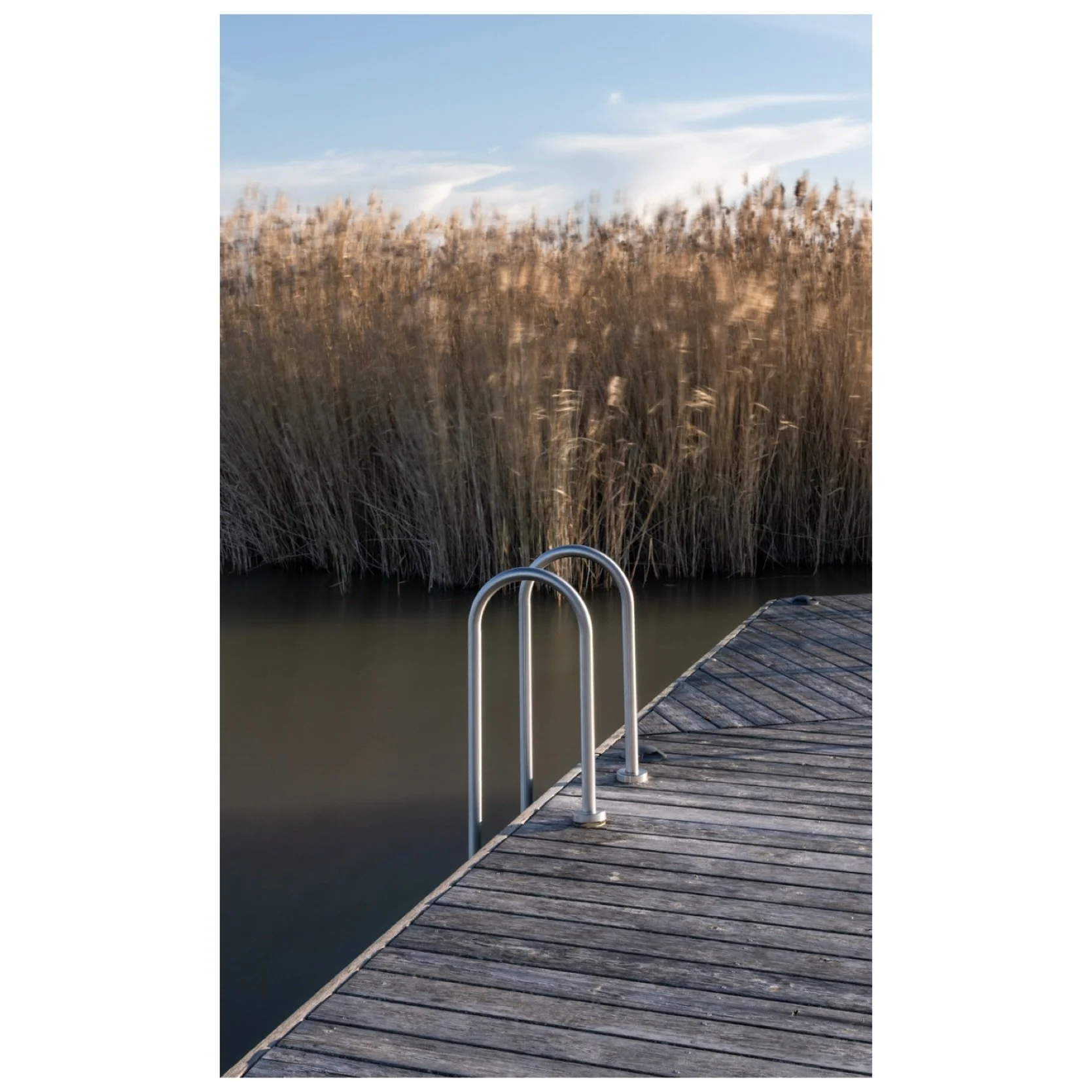 I love minimal compositions where a single element holds the entire story. This ladder to nowhere at the marina, framed by endless reeds glowing in golden hour, reminds me why I chase light instead of landmarks.
📌 Breitenbrunn, Austria
&bull;⠀
&bull
