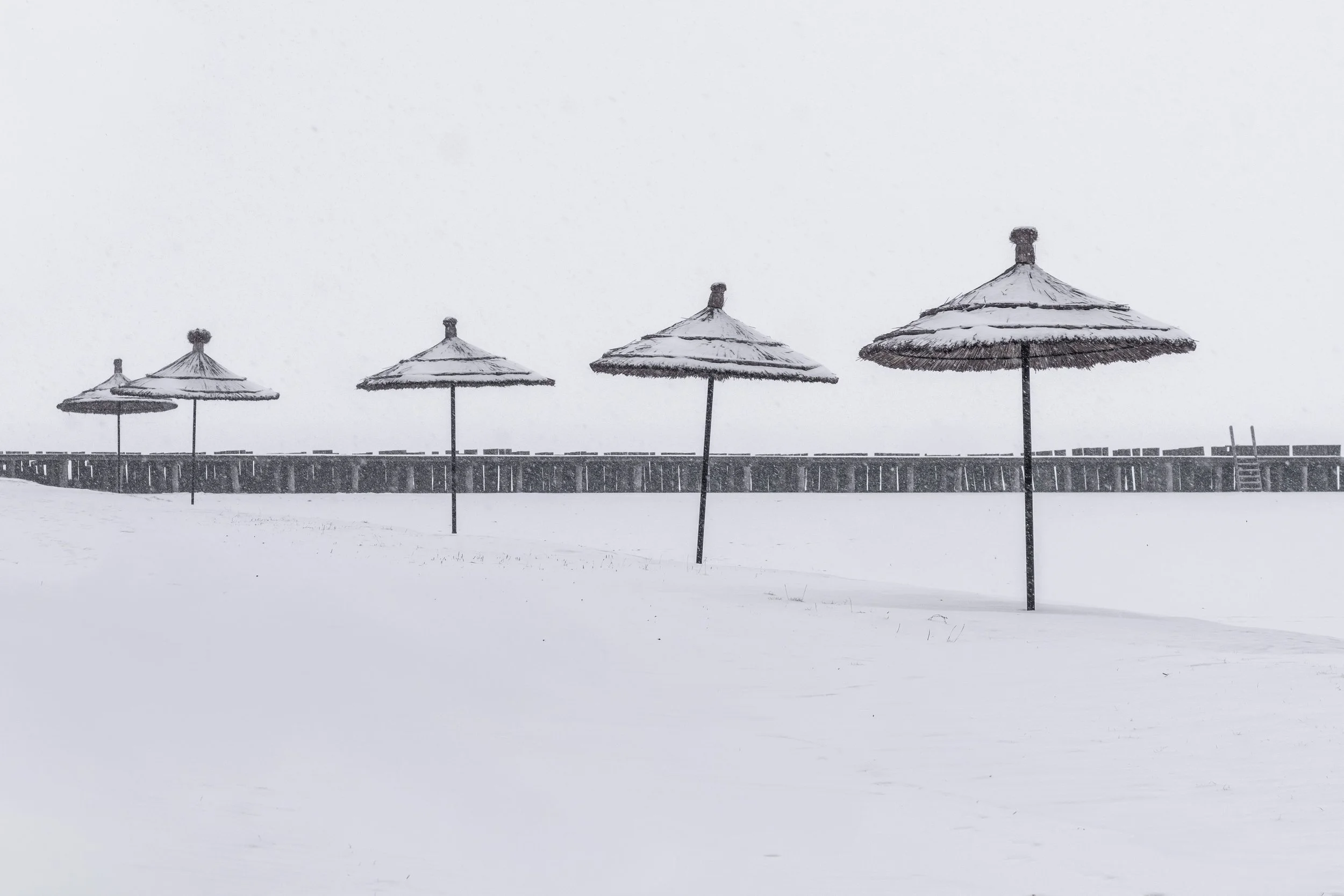 Four straw beach umbrellas covered in snow, standing on snow-covered ground with a wooden fence running horizontally in the background under a gray sky.