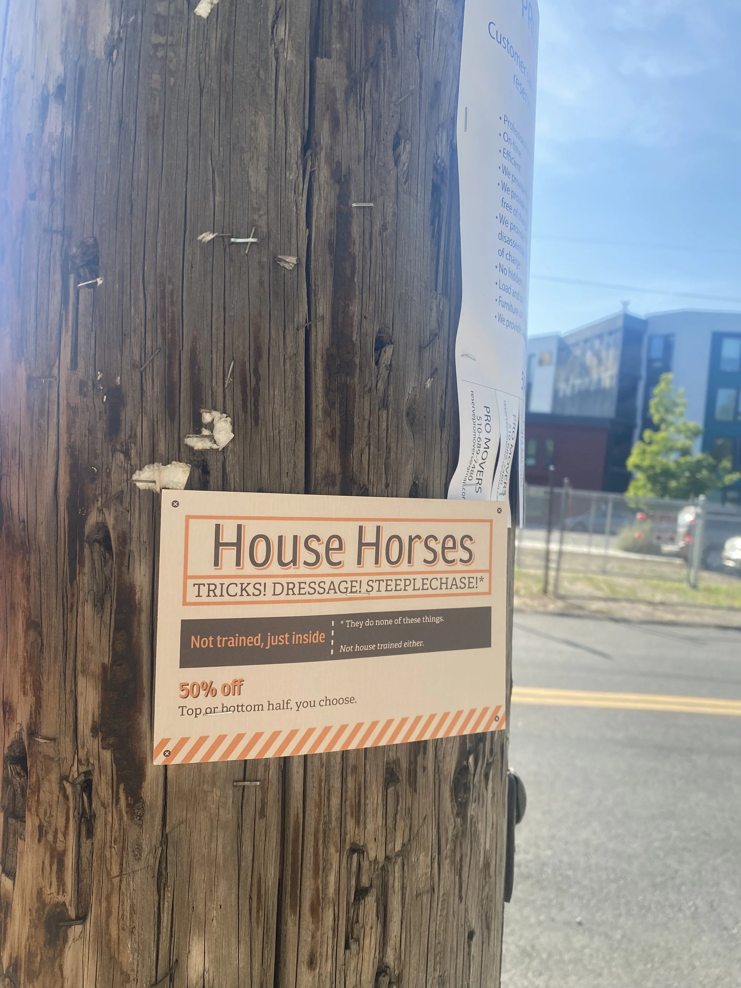 house horse.jpg