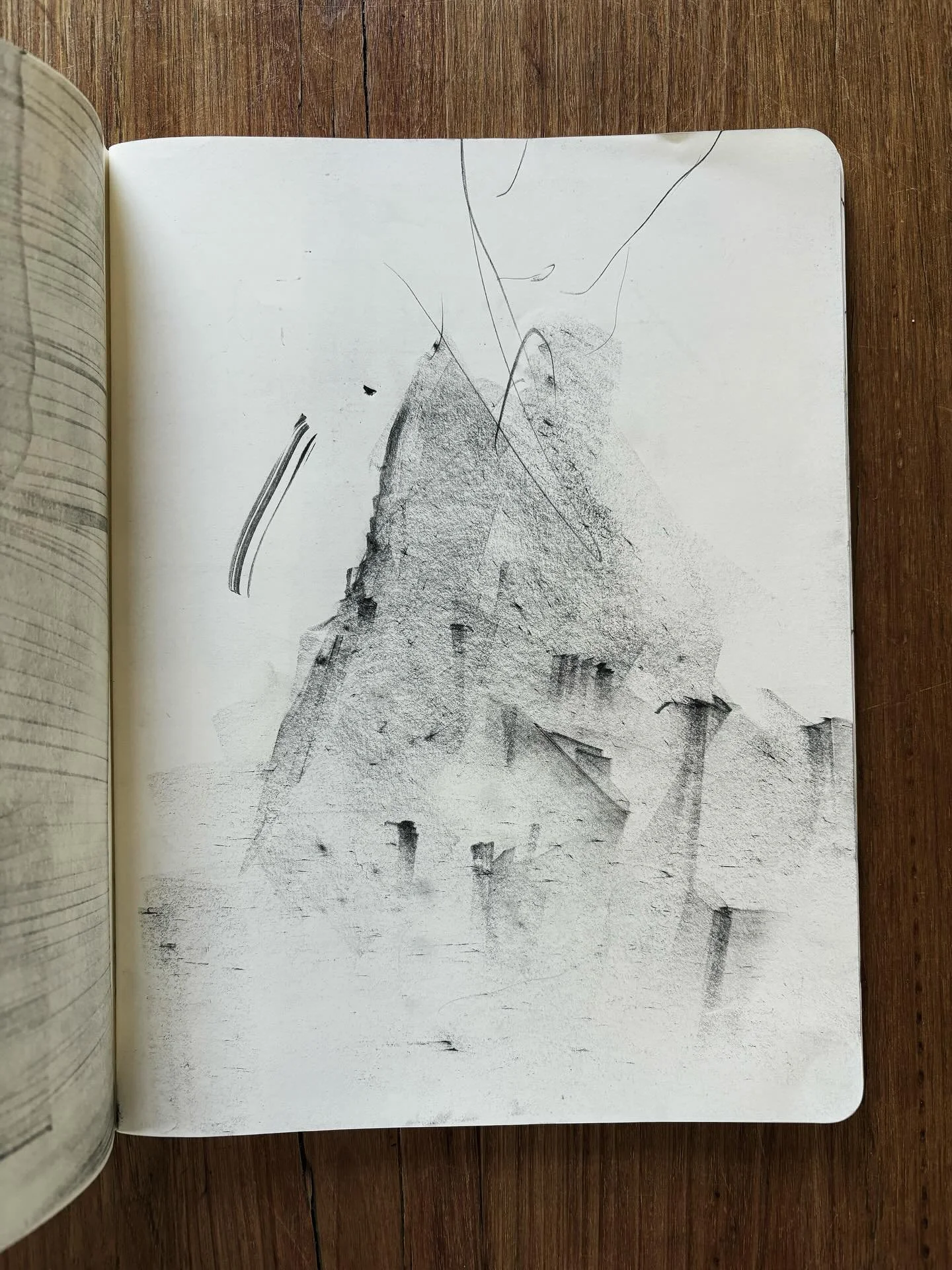 The two-year-old is teaching me everything I need to know, for today. 🖤

#late #sunday #arvo #graphite #art