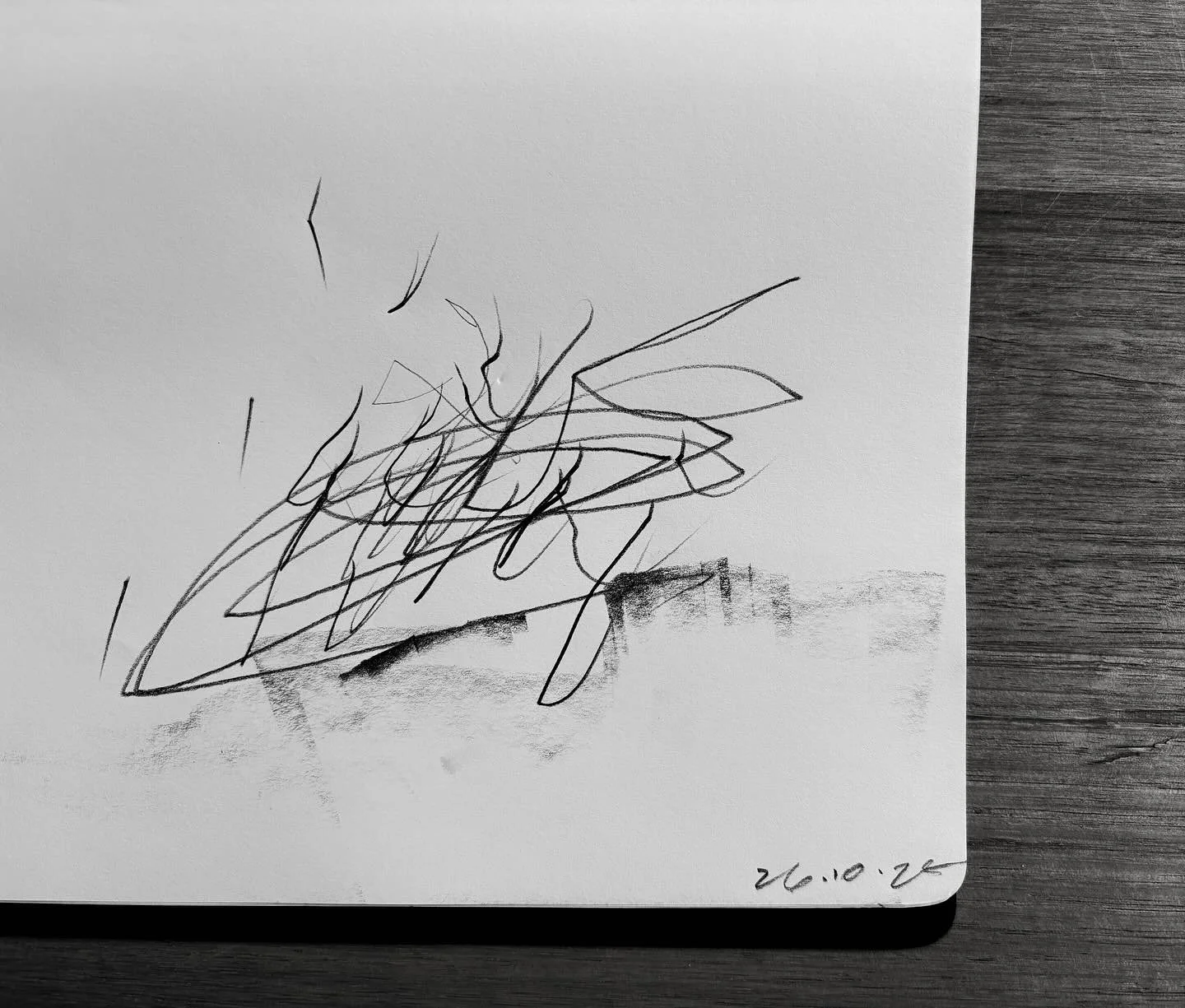 26.10.25

____
#abstractart #abstractartist #abstractdrawing #contemporaryart #modernart #abstractexpressionism #minimalistart #blackandwhiteart #blackandwhitedrawing #monochromeart #bwart #graphiteart #inkdrawing #charcoaldrawing #penandinkart #mark