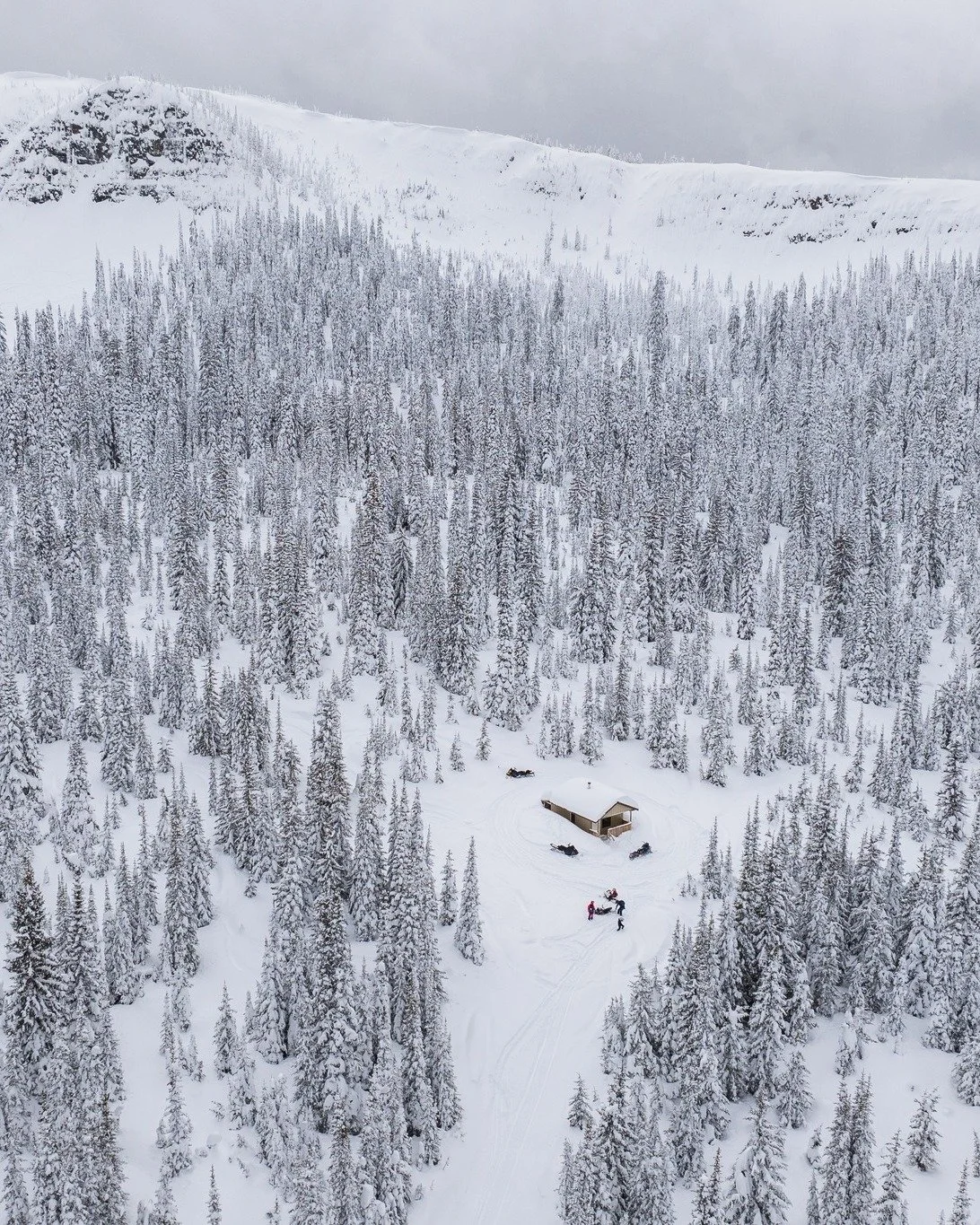 📍 A Forest Landscape Plan (FLP) process is currently underway in the Elk Valley / East Kootenay region, including Fernie, Elkford, Cranbrook, and surrounding areas.

FLPs are a new, long-term planning framework in British Columbia, co-led by First N