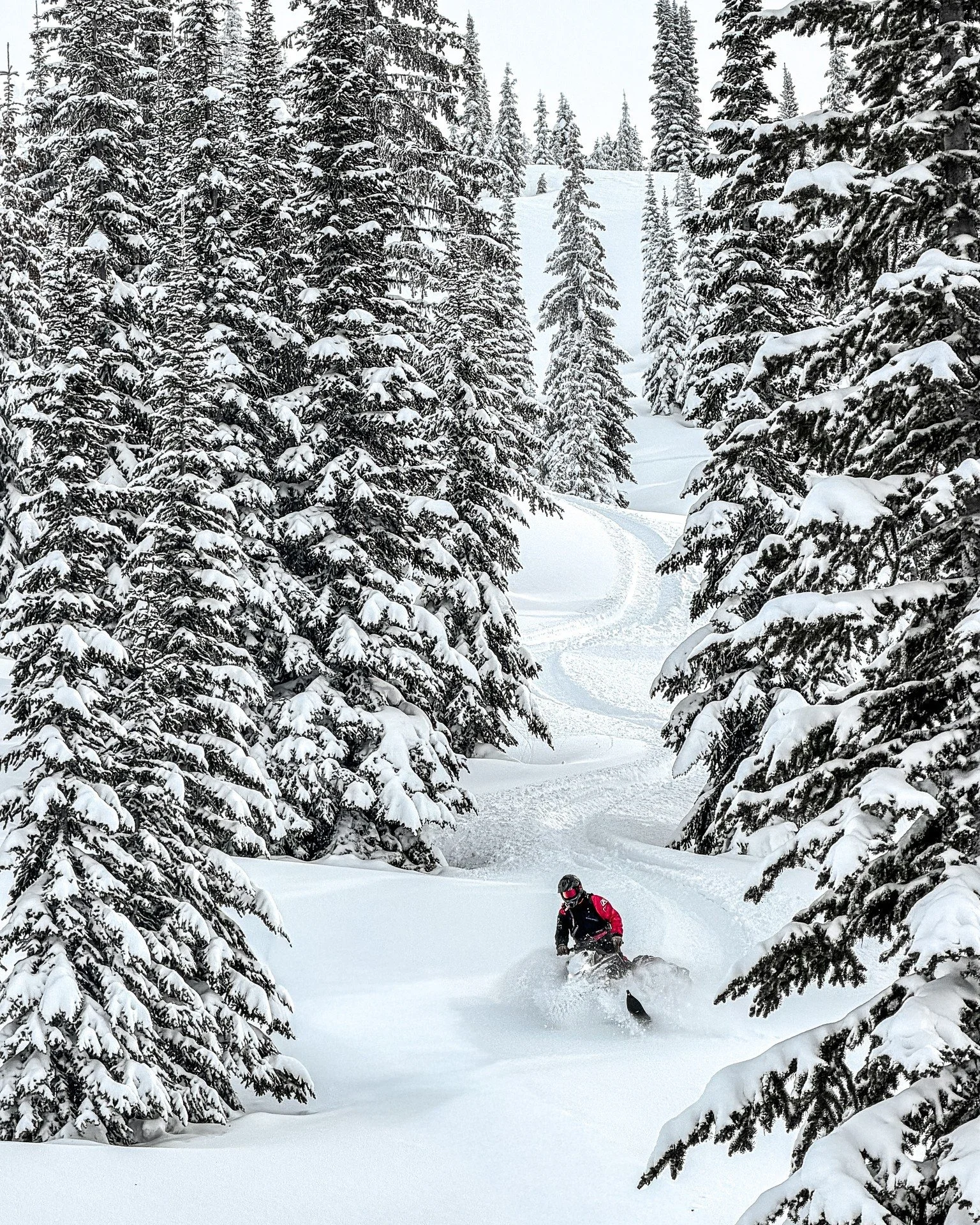 Trail routes, staging areas, and shelter locations from the Arrow Lakes Ridge Riders are now live on the BC Provincial Snowmobile Trail Map.

This update improves rider safety, supports responsible recreation, and strengthens how snowmobile clubs wor