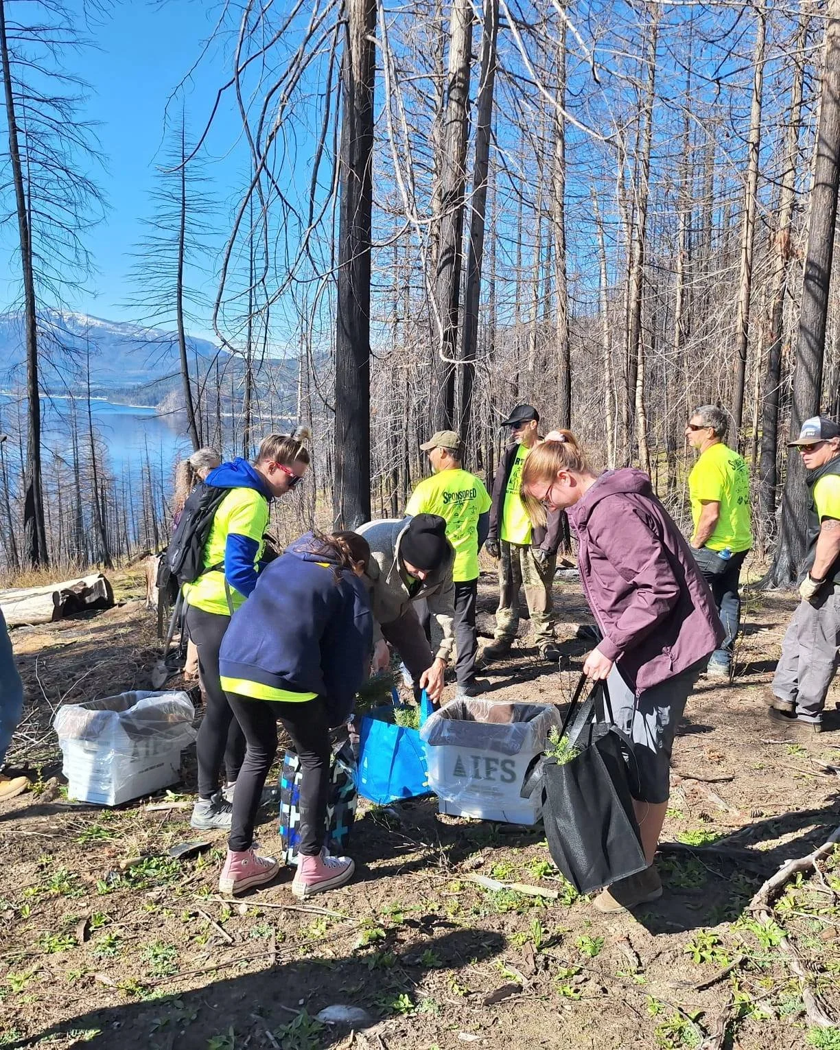 In the North Shuswap, the landscape, and the community, are still recovering from the 2023 wildfires.

Last year, the Crowfoot Mountain Snowmobile Club (@sledcrowfoot)  helped plant 4,000 trees.

This spring, they&rsquo;re going back to plant 3,000 m