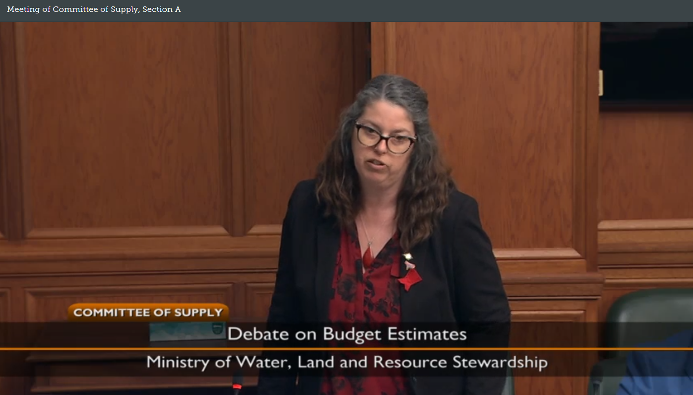 Caribou Recovery and Recreation Access Discussed During BC Legislature Budget Estimates
