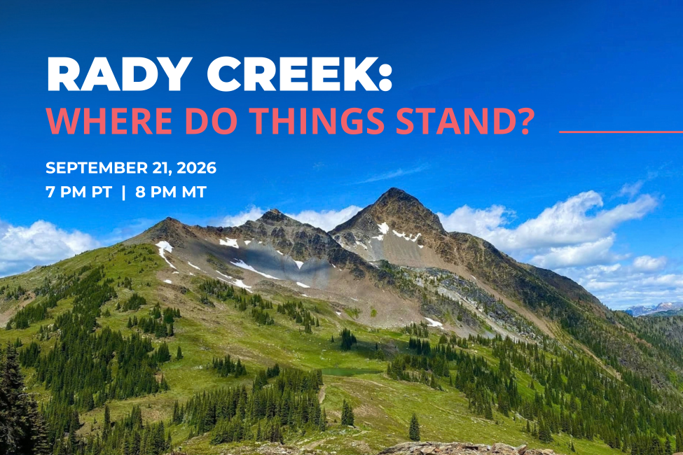 RADY CREEK: WHERE DO THINGS STAND