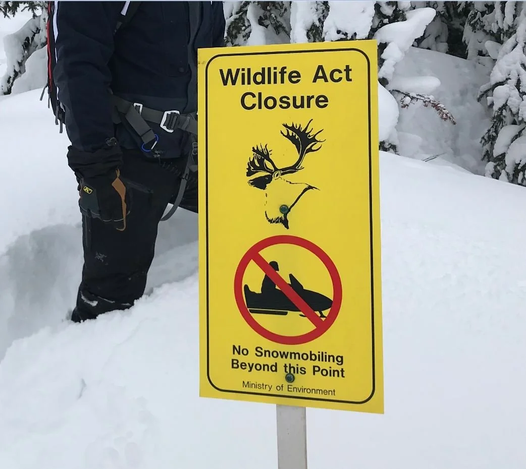 BCSF Supporting Seymour Arm Snowmobile Club in Little Grace Permit Decision