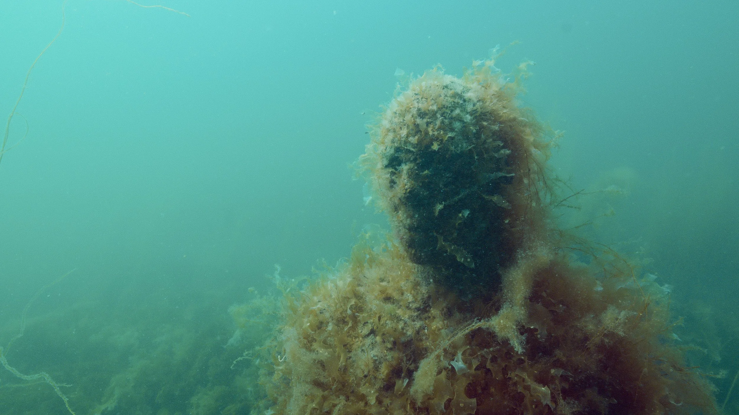 TWBTS_010_UNDERWATER SCULPTURE.jpg