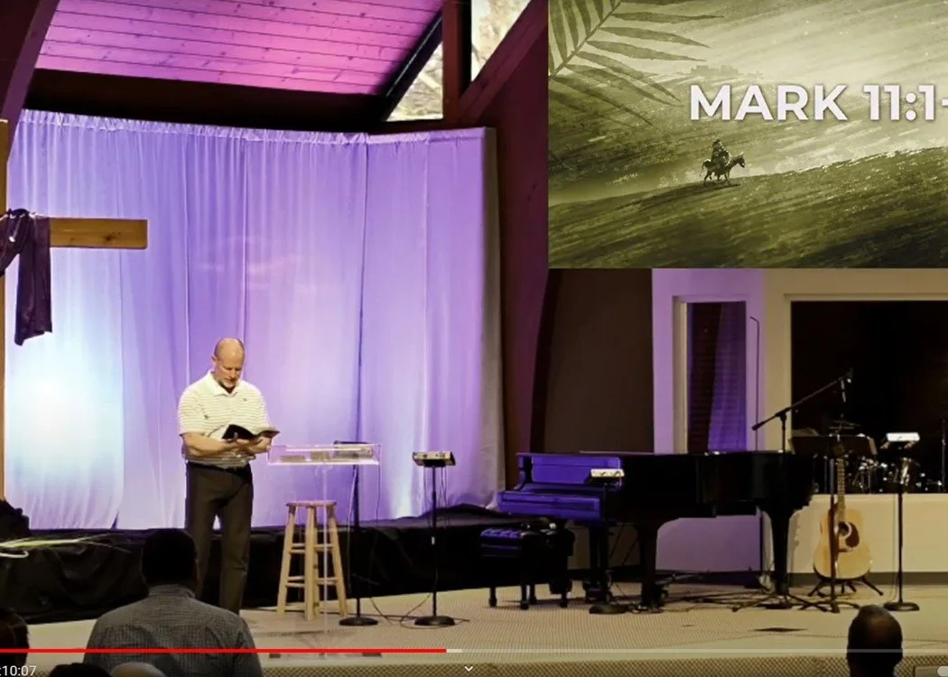 Palm Sunday | your donkey