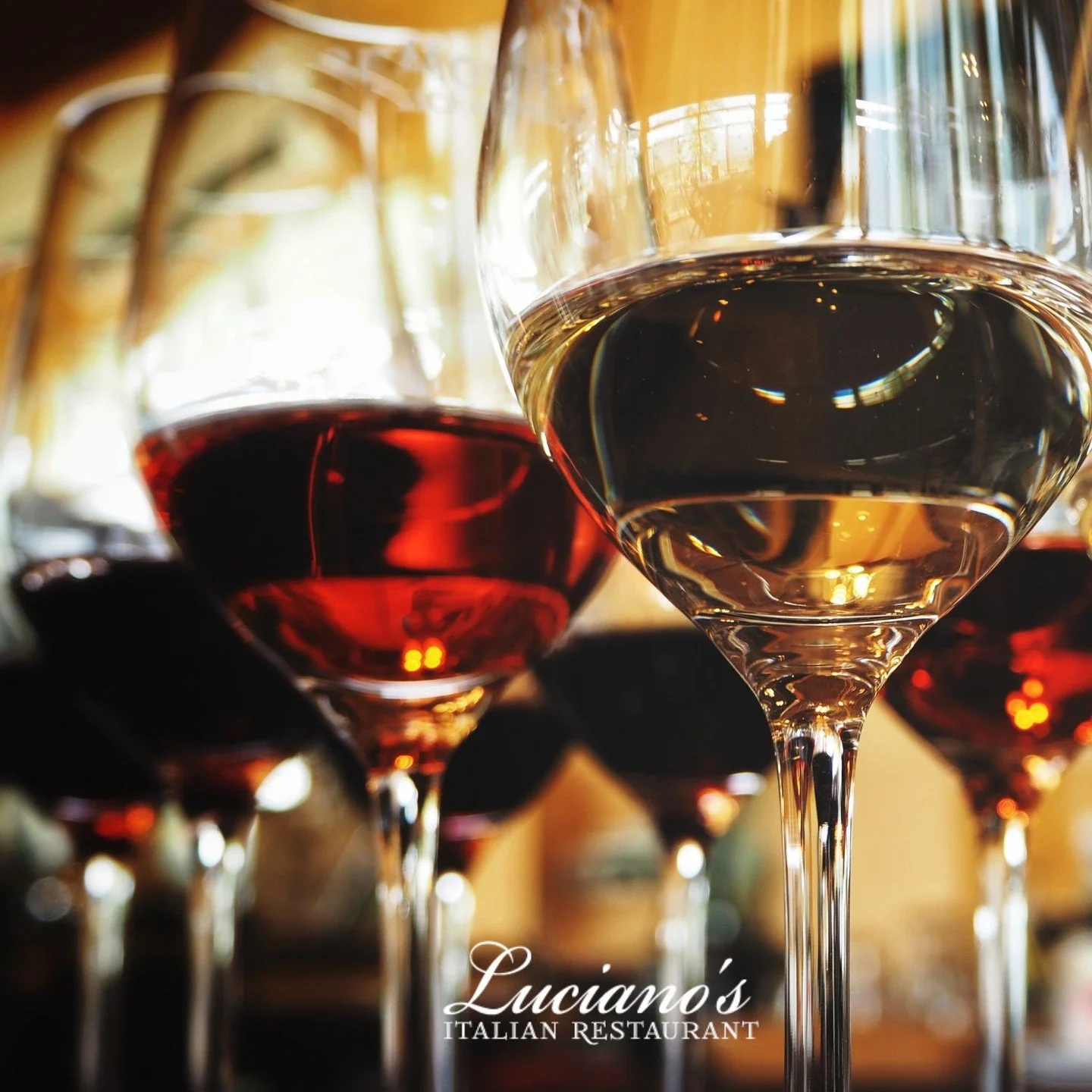 Some of the best memories are made over a bottle of wine!

We have an extensive wine list, filled with Italian favorites! Ask your server for the perfect pairing for your meal!