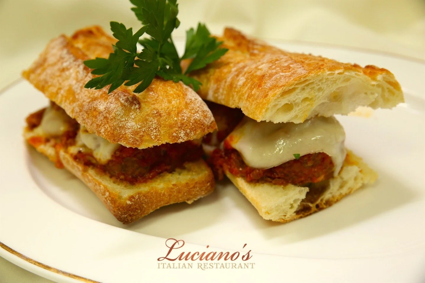 What's for lunch? One of our mouthwatering Paninis, of course!