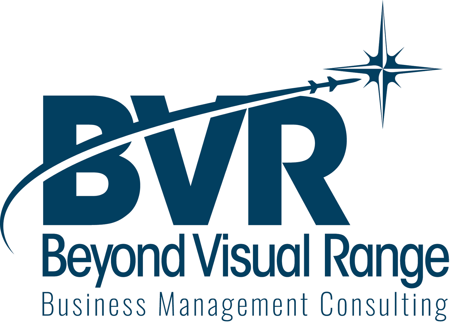 BVR Consulting