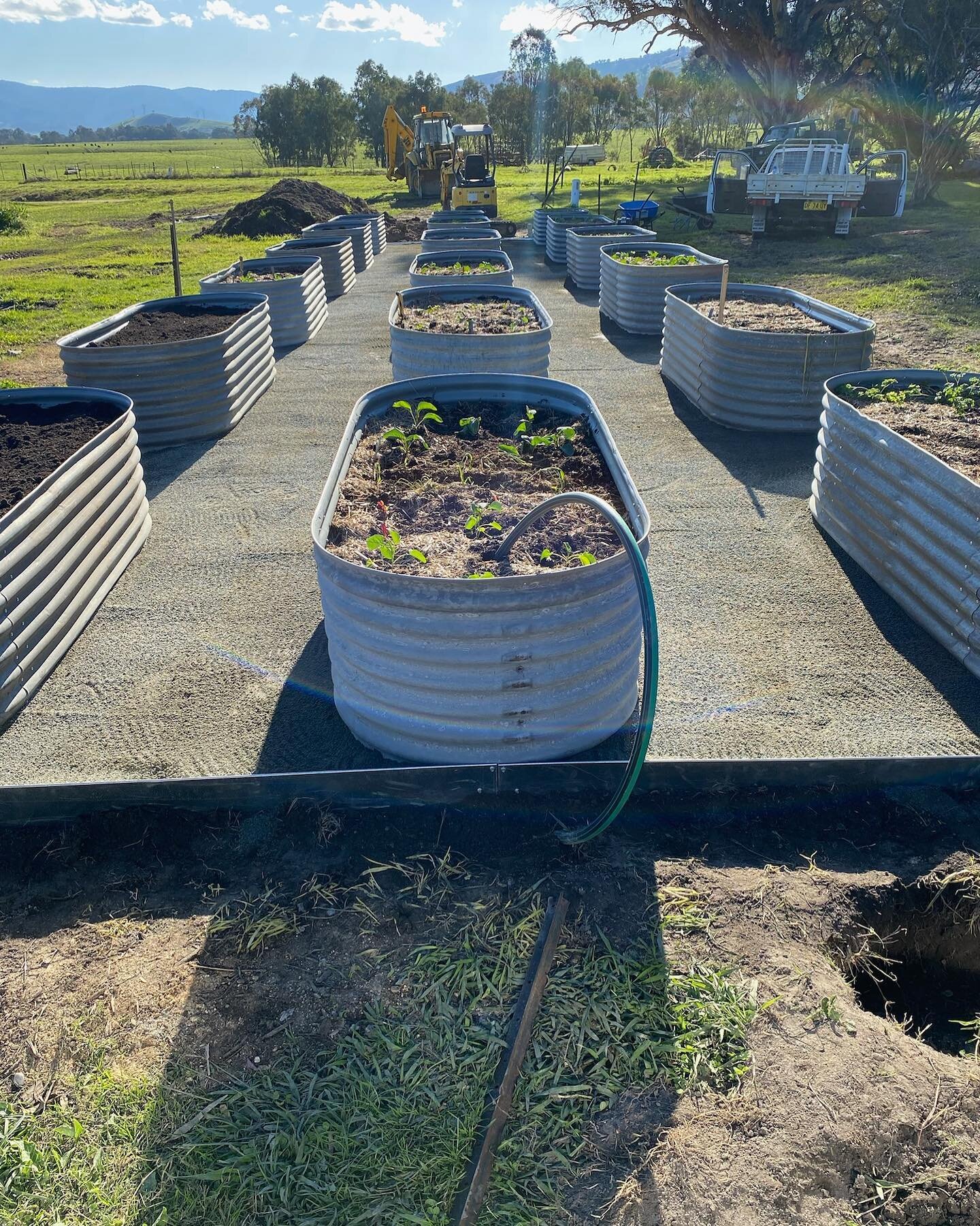 The finishing touches on the garden bed area is DONE!

Steel edging is on and the crusher dust is compact down for a beautiful looking finish!

It&rsquo;s a big job out here and we are excited to share more about what we can do to get you growing you