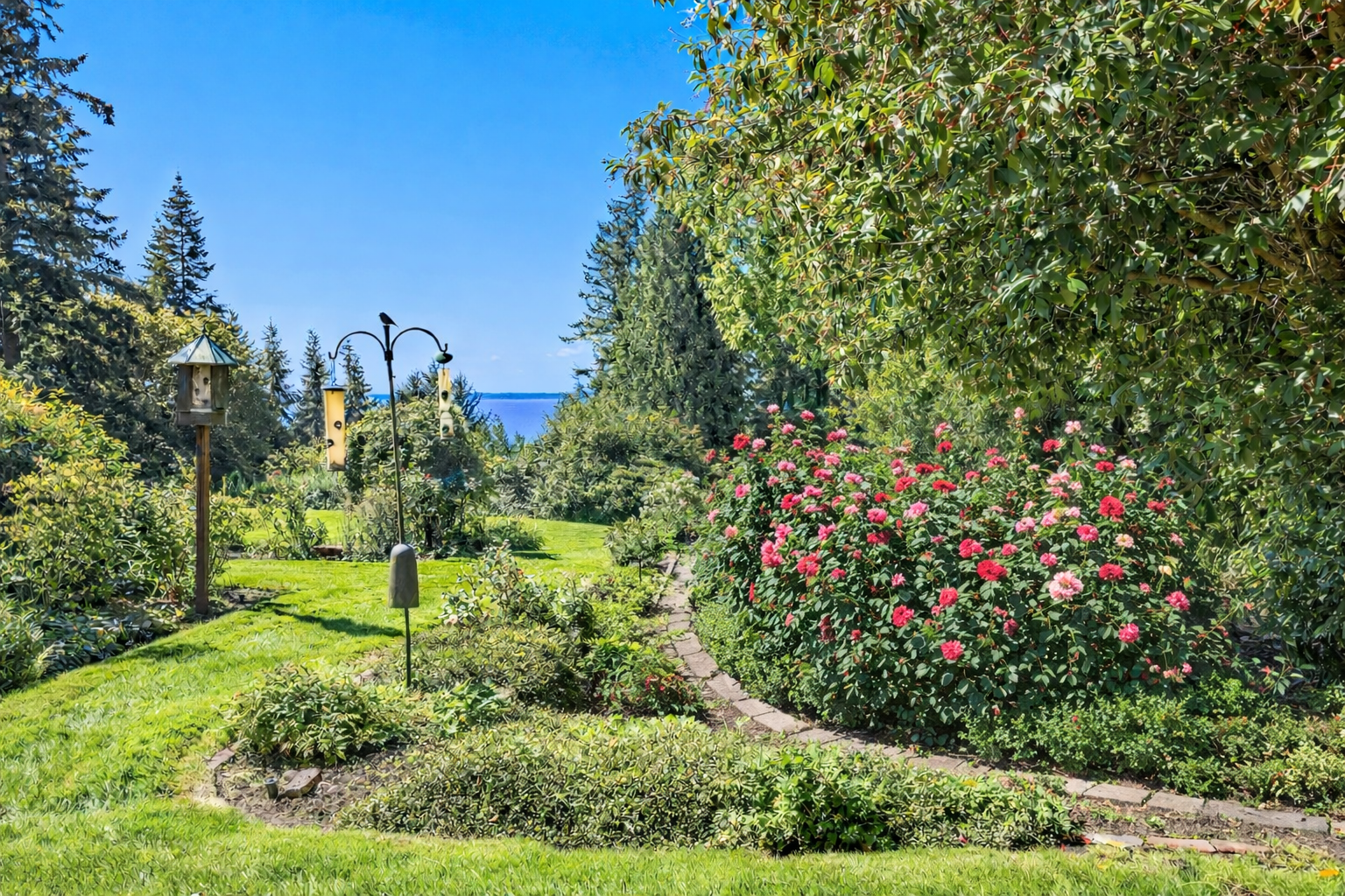 ChatGPT Image Feb 18, 2026, 12_56_23 PM.png