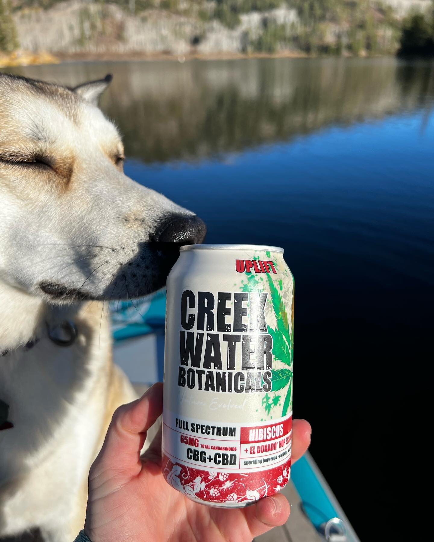 This time of year we really start getting real antsy for those dog days of summer 🌞 🐾 

Who else can&rsquo;t wait to get out into the wild &amp; get their toes in the water?! 💦 

📸 @herewegrow.xo and her pup Kiako loving our CBG Uplift ❤️