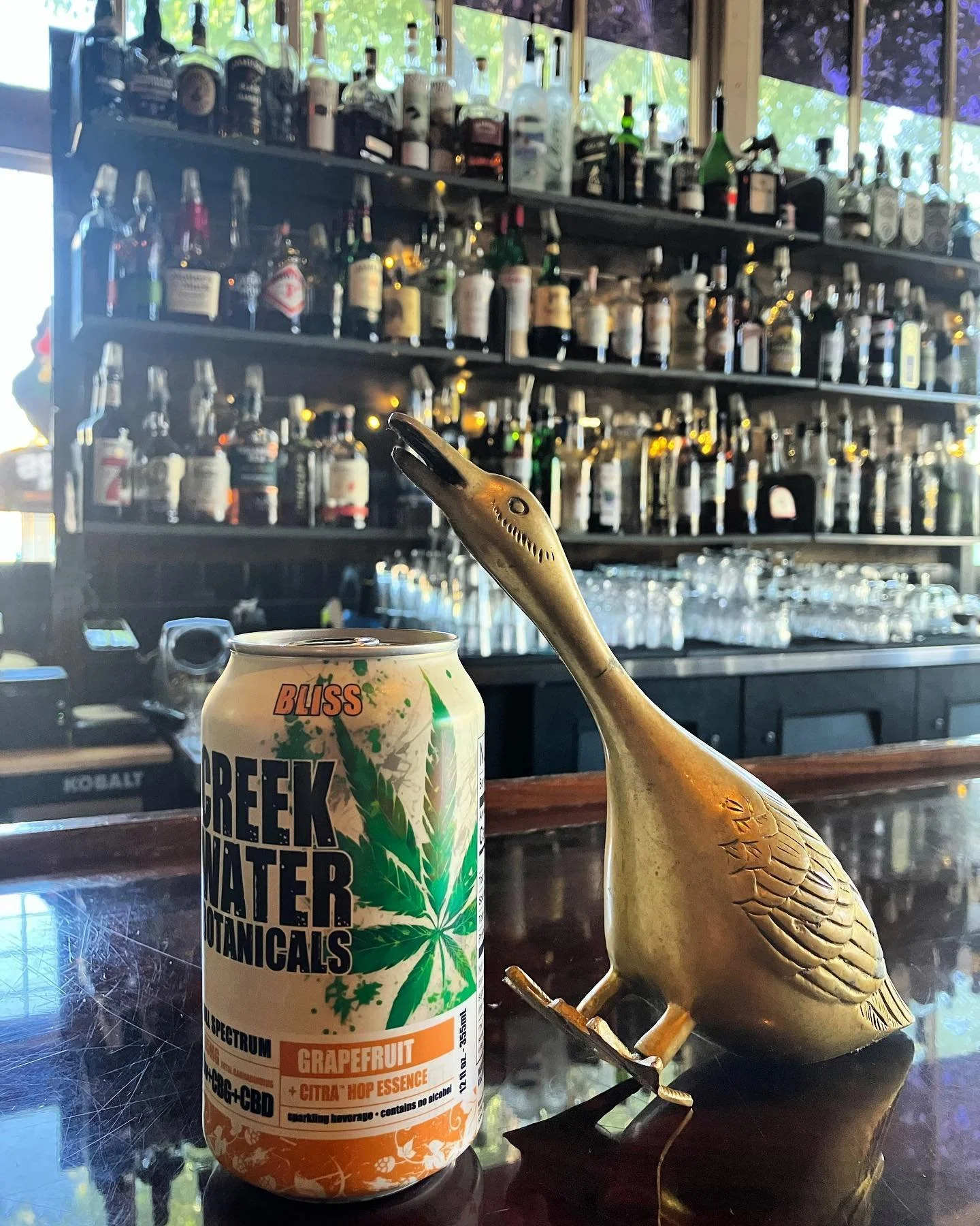 Looking for a watering hole that serves N/A drinks that aren&rsquo;t just sugary sodas this weekend? 

Stop by @winchestergoose in downtown Chico! 

They&rsquo;ve got a stellar happy hour menu, nostalgic aesthetic, and a regular rotation of live musi