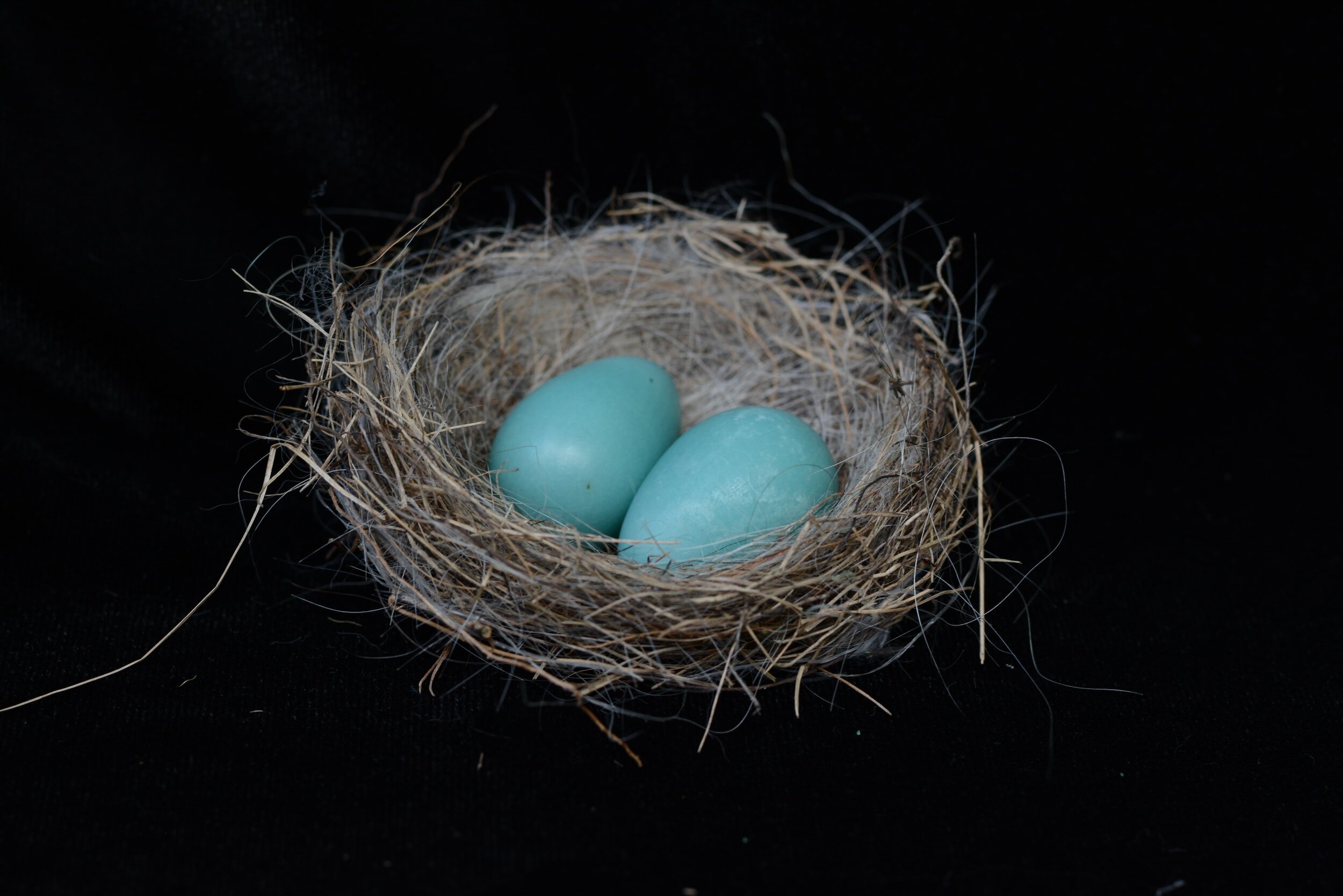 The Pros and Cons of a Nesting Parenting Plan