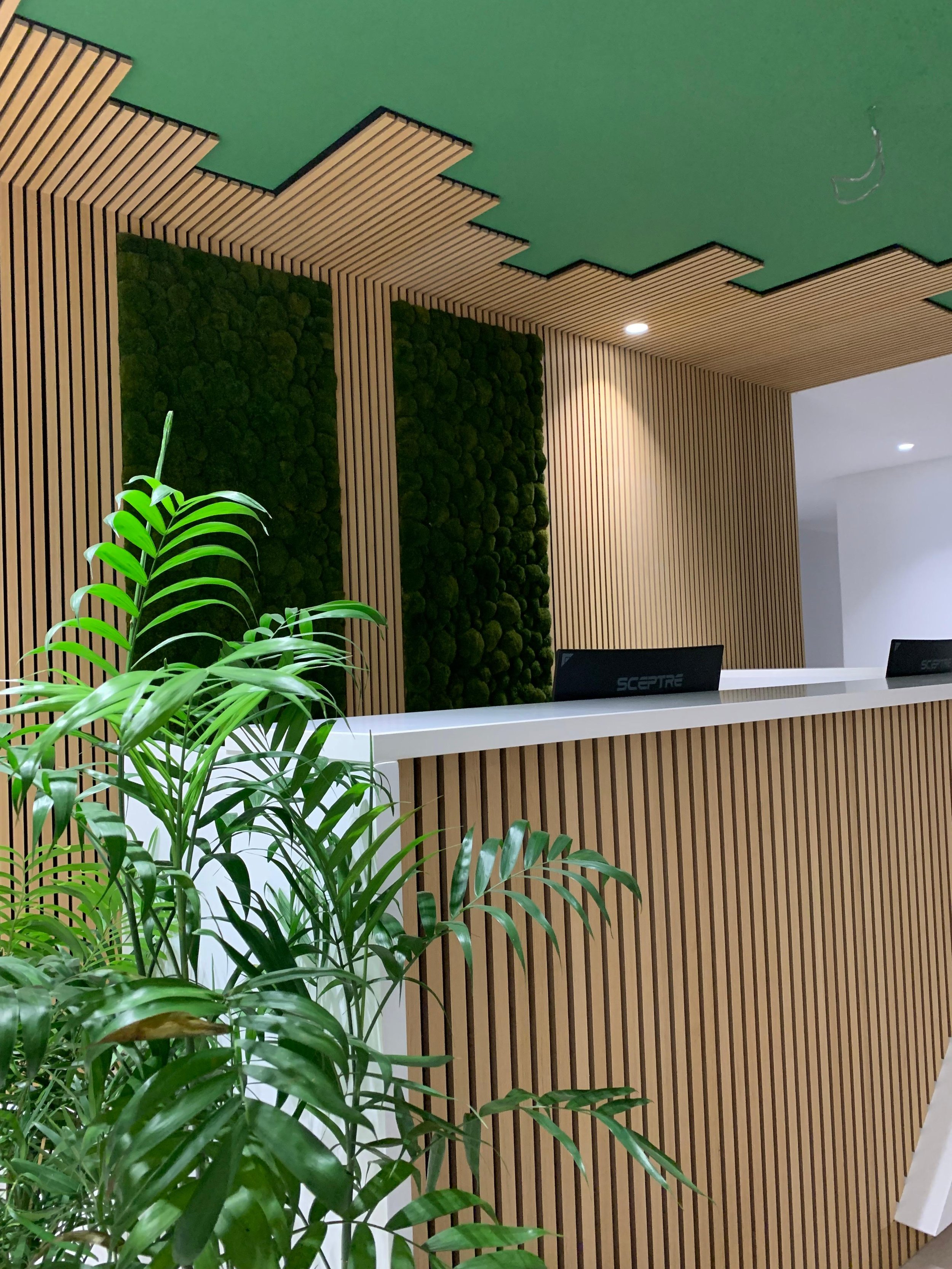 WhatsApp Image 2026-02-19 at 3.27.19 PM.jpeg