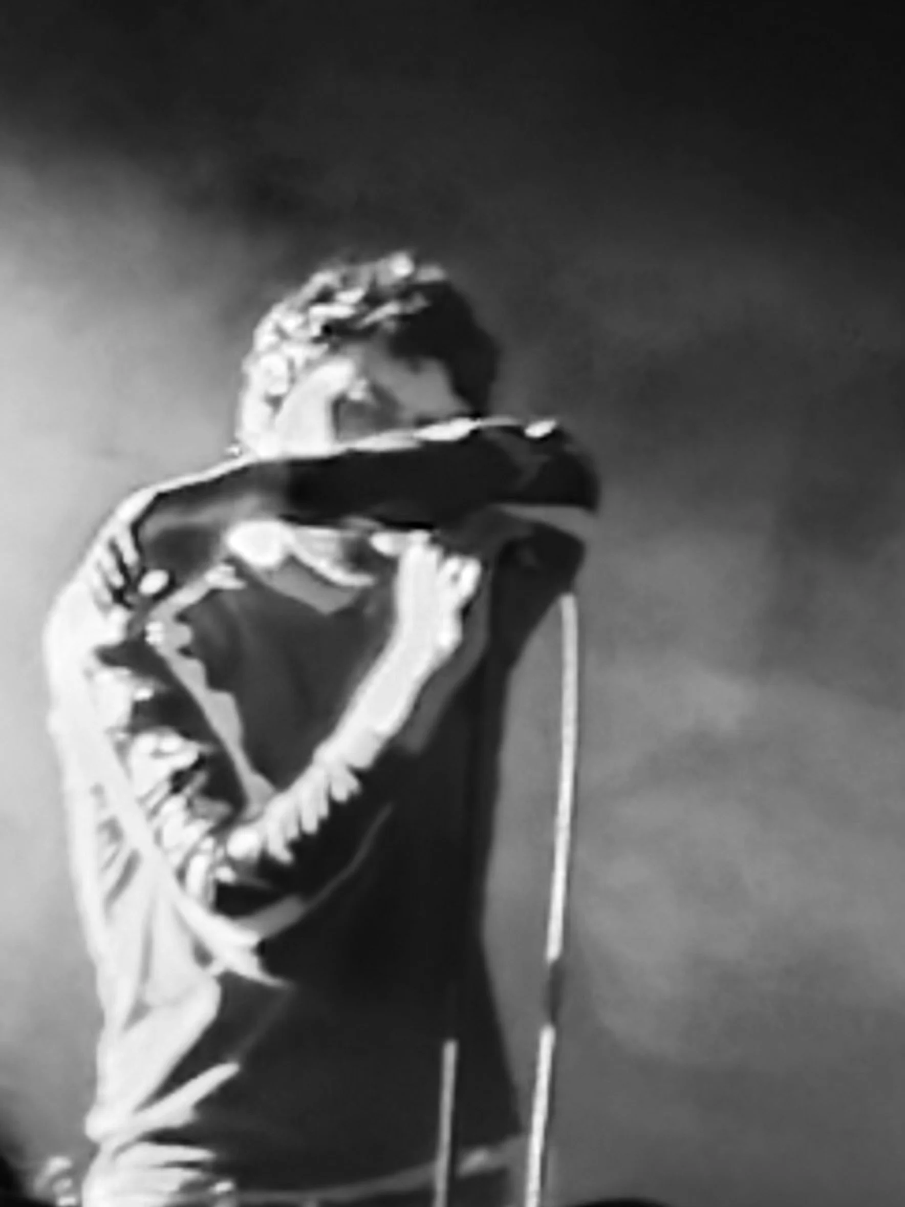 IMG_6111.jpeg