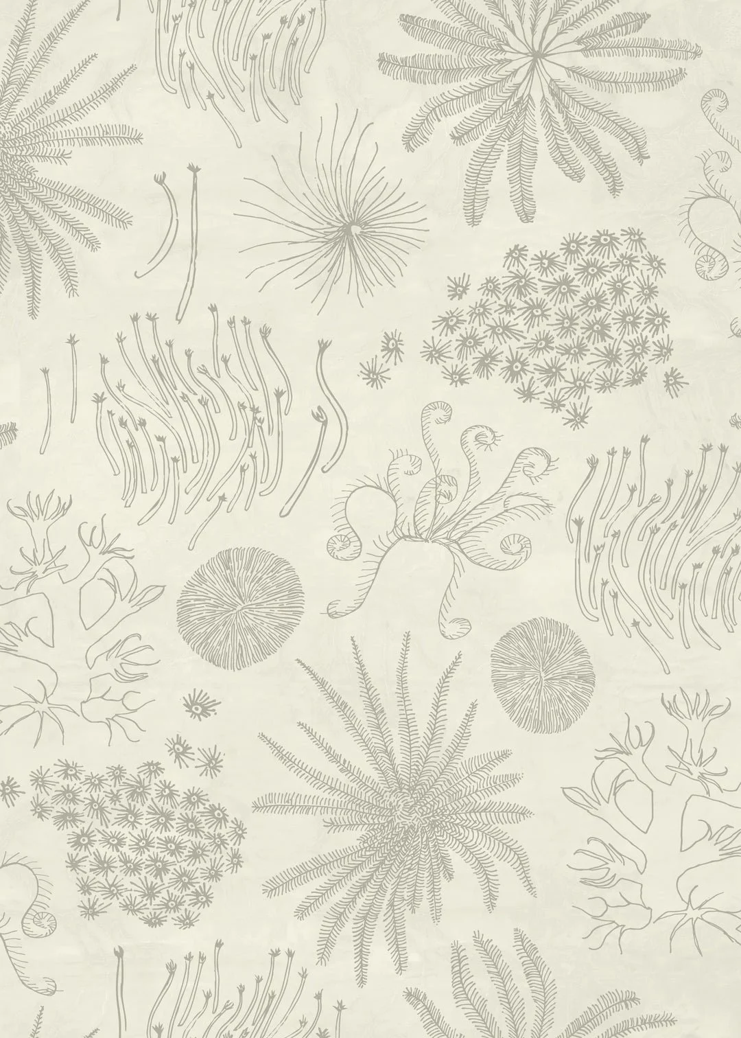 DC-2400-01UmiSeaSalt_1080x.webp.jpeg