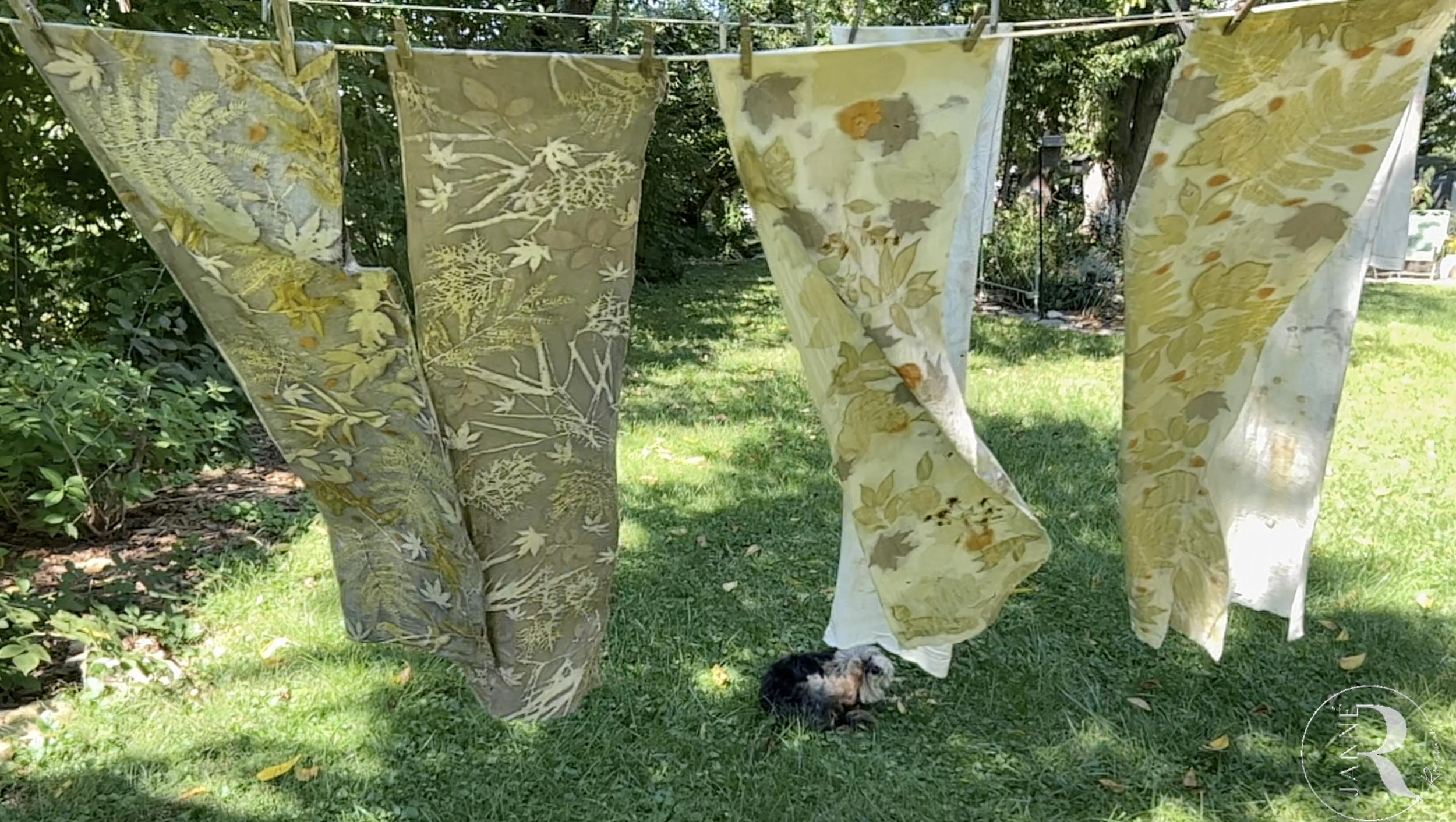 How to make botanical prints — Janne Lee