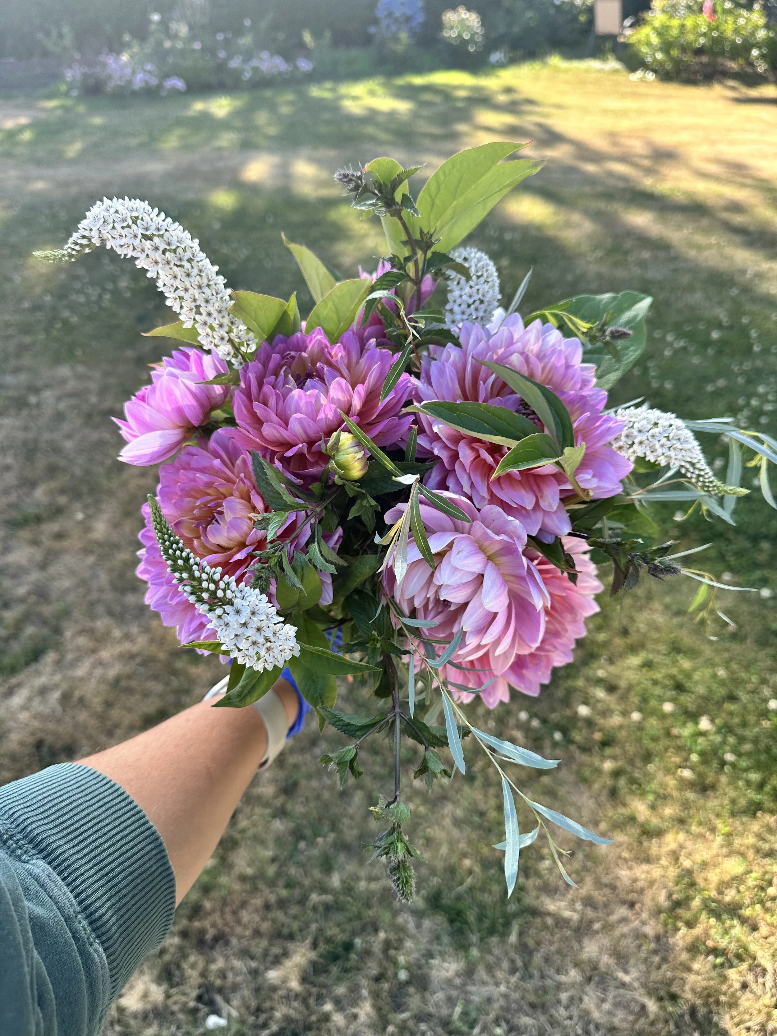 Molly's Carolyn 4.jpeg