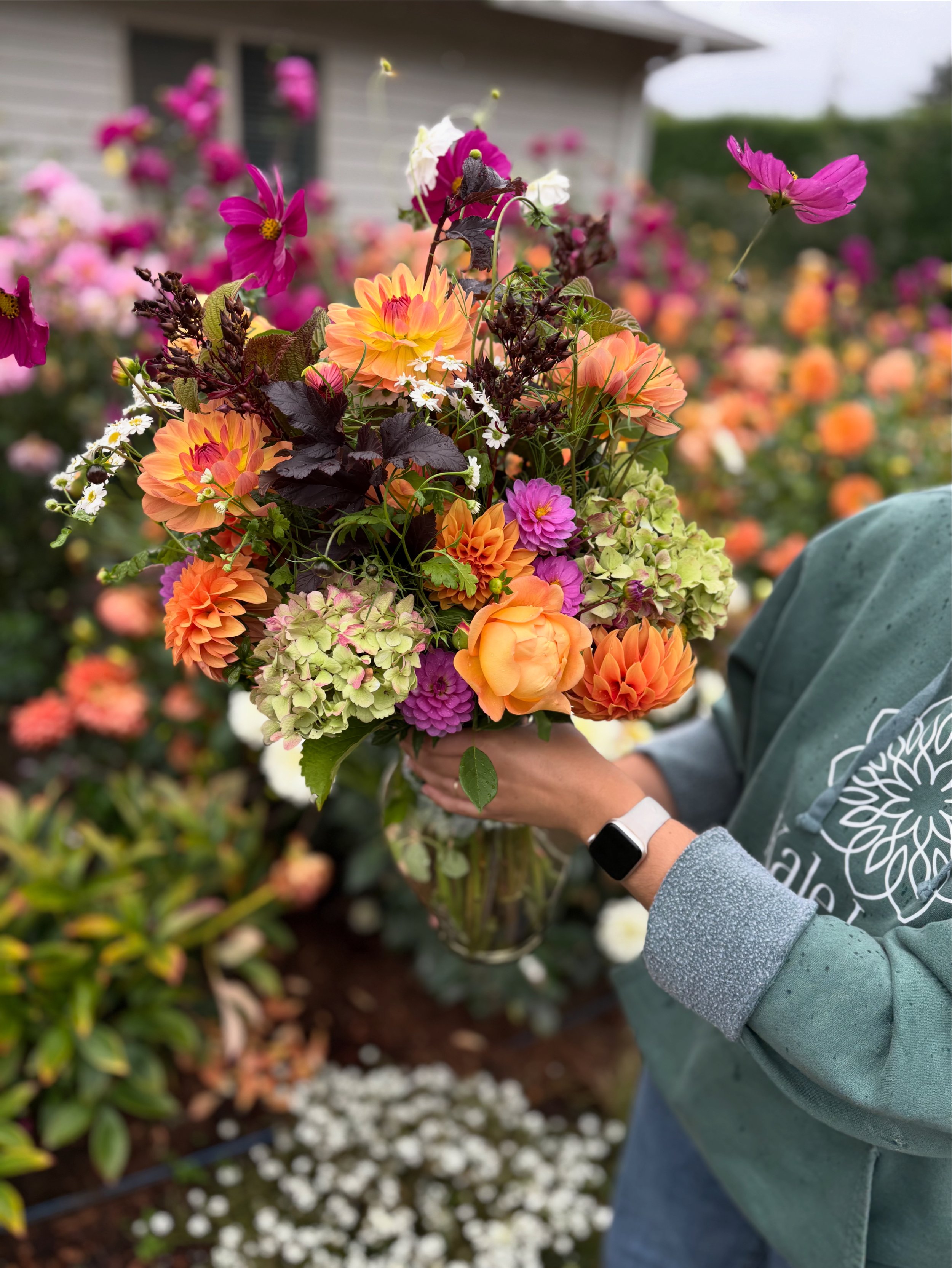 Suitzus Julie Cutting