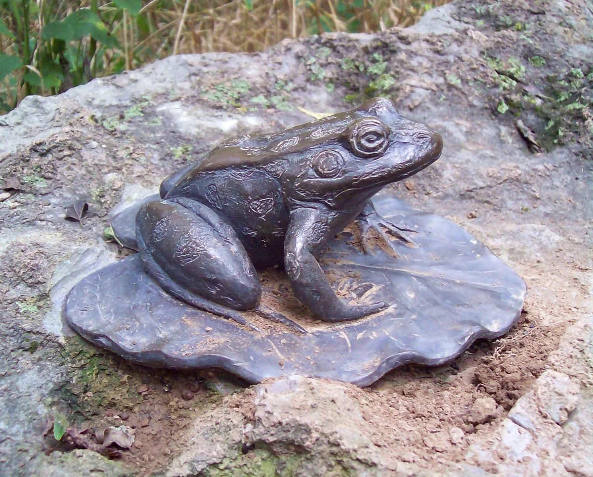 BronzeFrog Billingsley.jpg