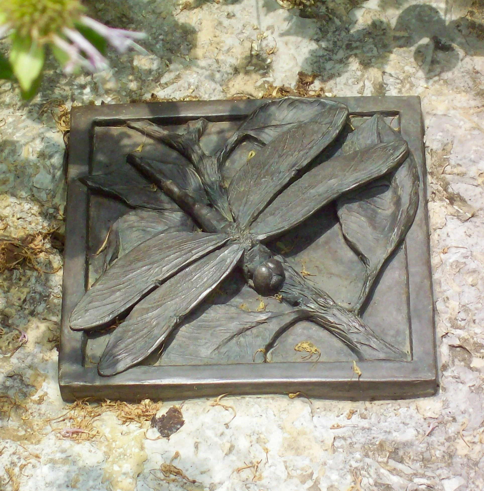 Dragonfly Bronze Billingsley.jpg