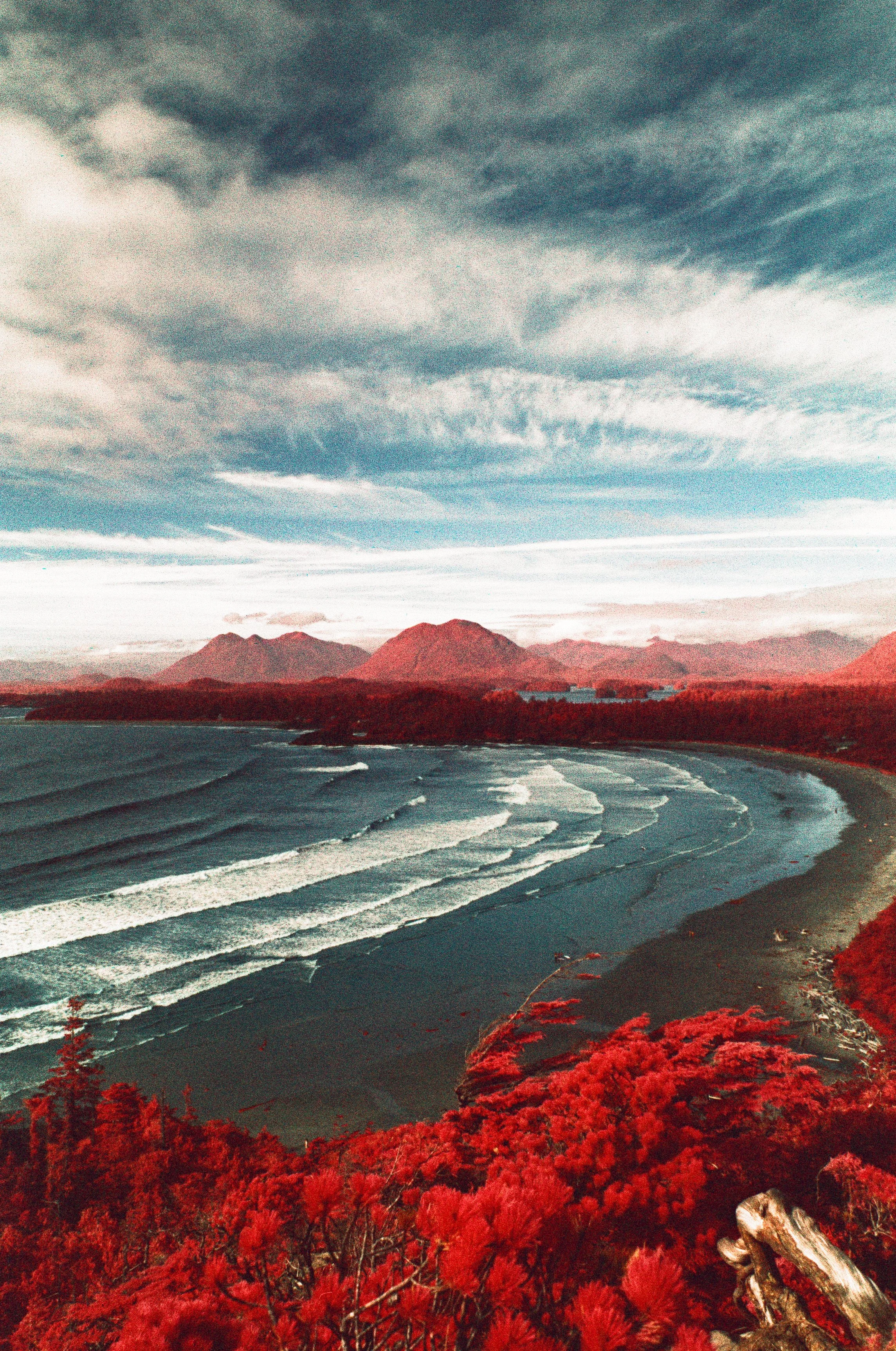 Aerochrome Print - Cox Bay Vertical