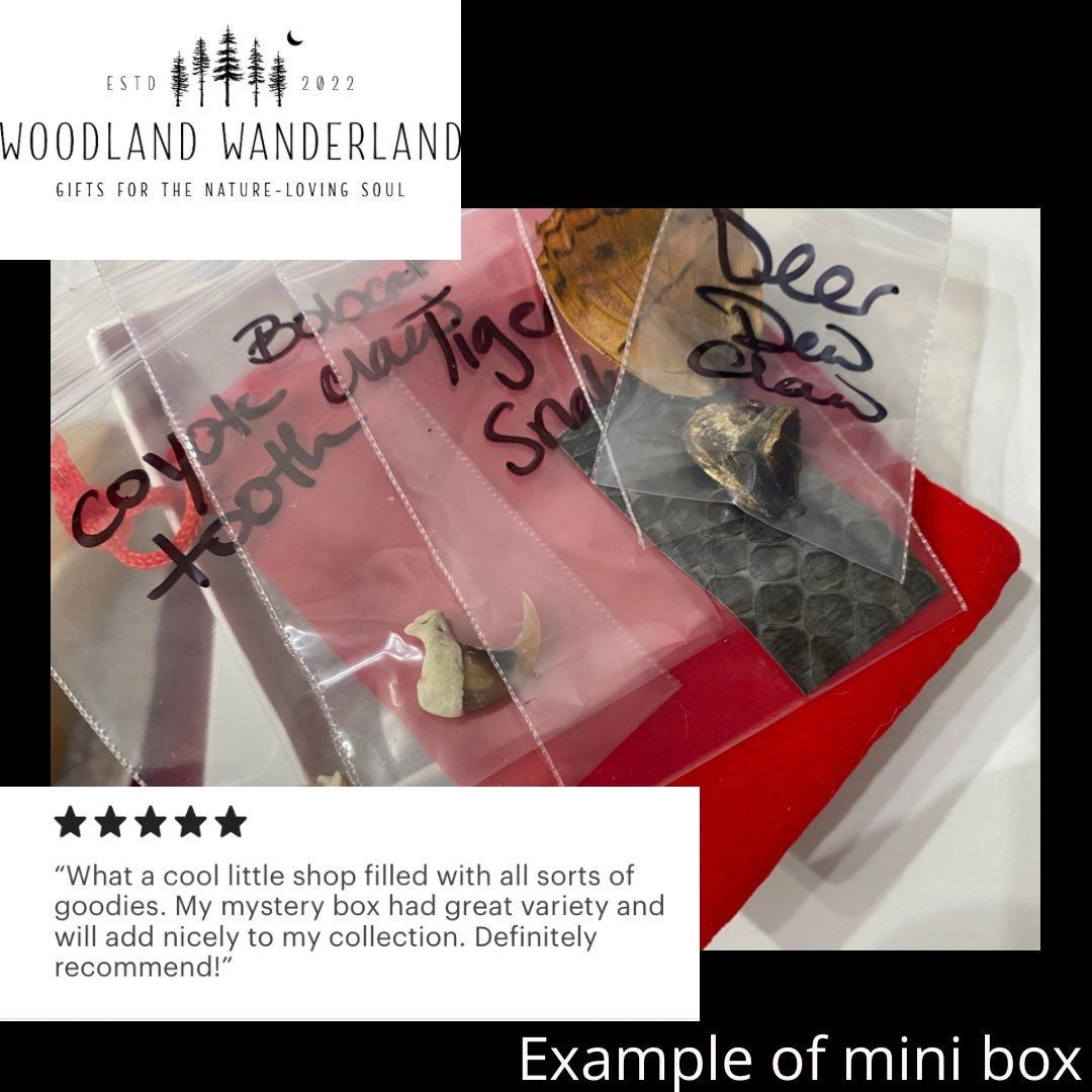 https://i.etsystatic.com/34872335/r/il/db93b5/3951331343/il_fullxfull.3951331343_pzbl.jpg