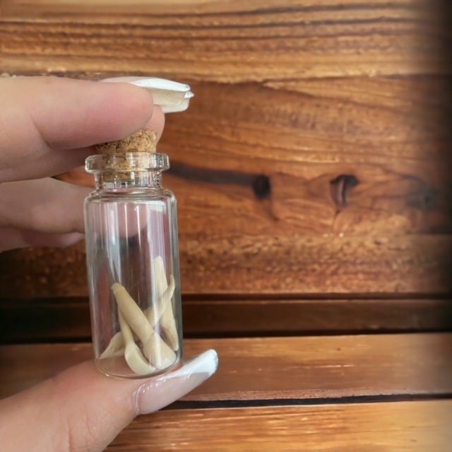 https://i.etsystatic.com/34872335/r/il/b5f295/4974654618/il_fullxfull.4974654618_8o50.jpg