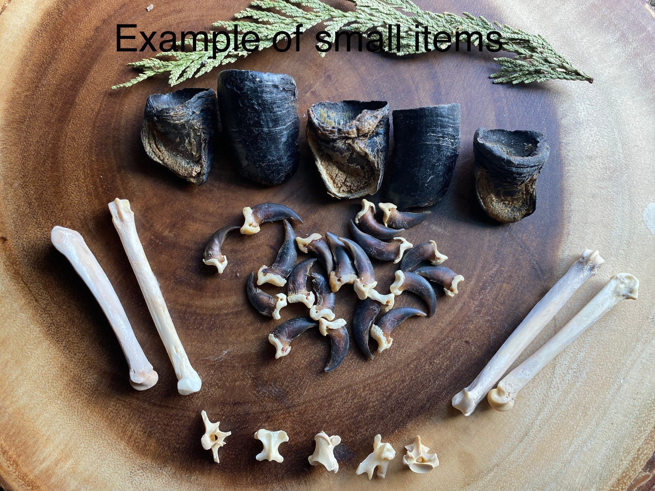 https://i.etsystatic.com/34872335/r/il/0c333c/3799284311/il_fullxfull.3799284311_e3by.jpg