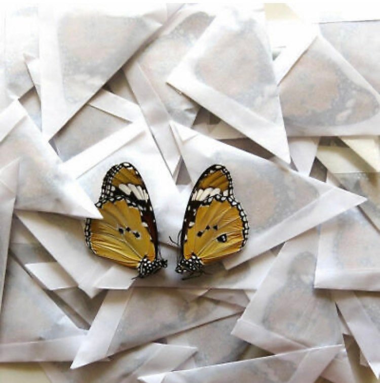 https://i.etsystatic.com/34872335/r/il/bbb1bc/3967964017/il_fullxfull.3967964017_23ri.jpg