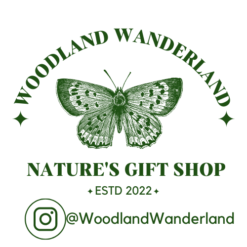 Woodland Wanderland 